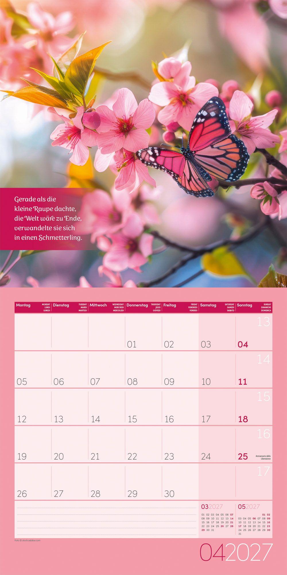 Beispielinhalt (Bild) Alles wird gut Kalender 2027 - 30x30 - Art12