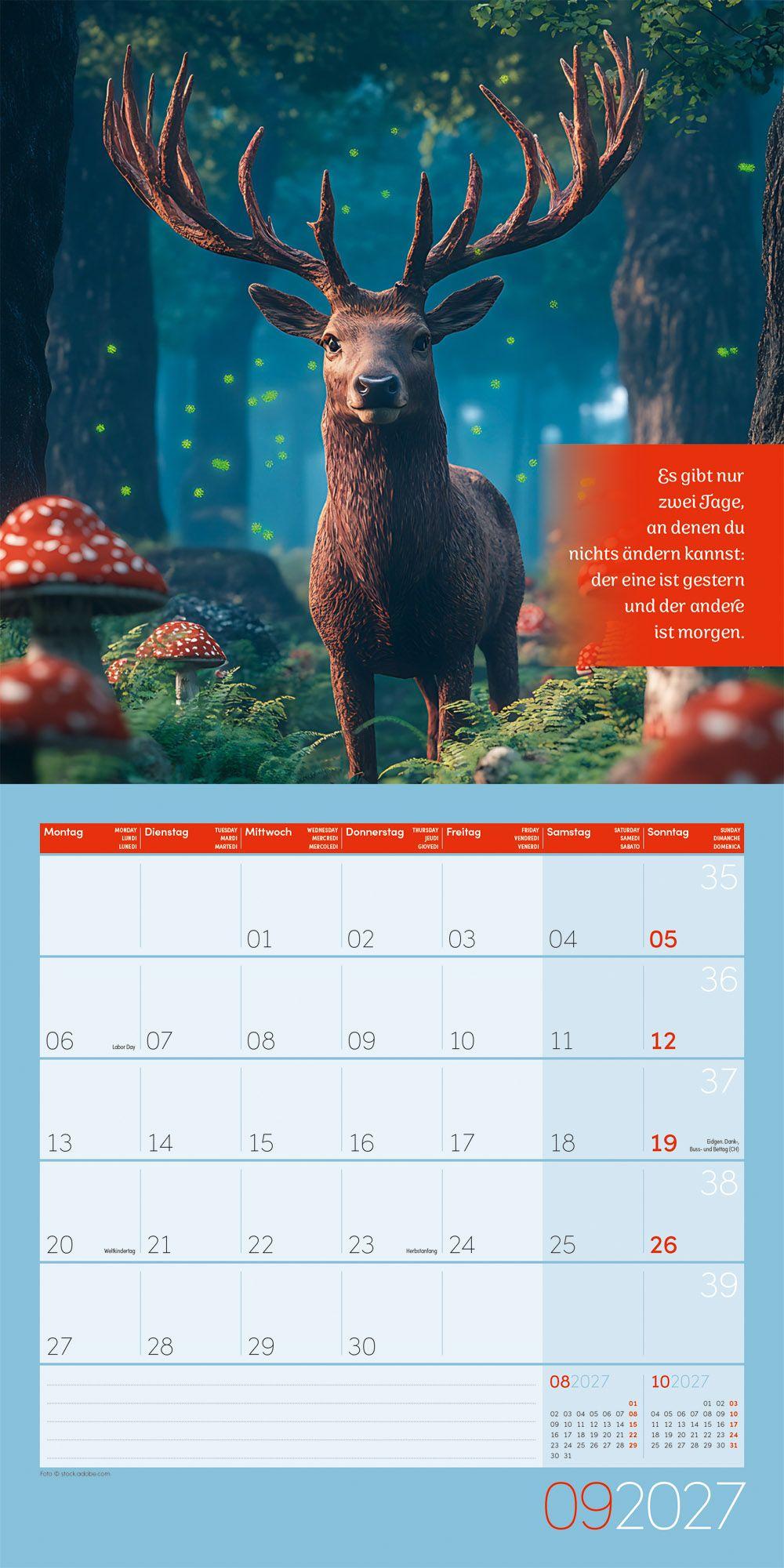 Beispielinhalt (Bild) Alles wird gut Kalender 2027 - 30x30 - Art12