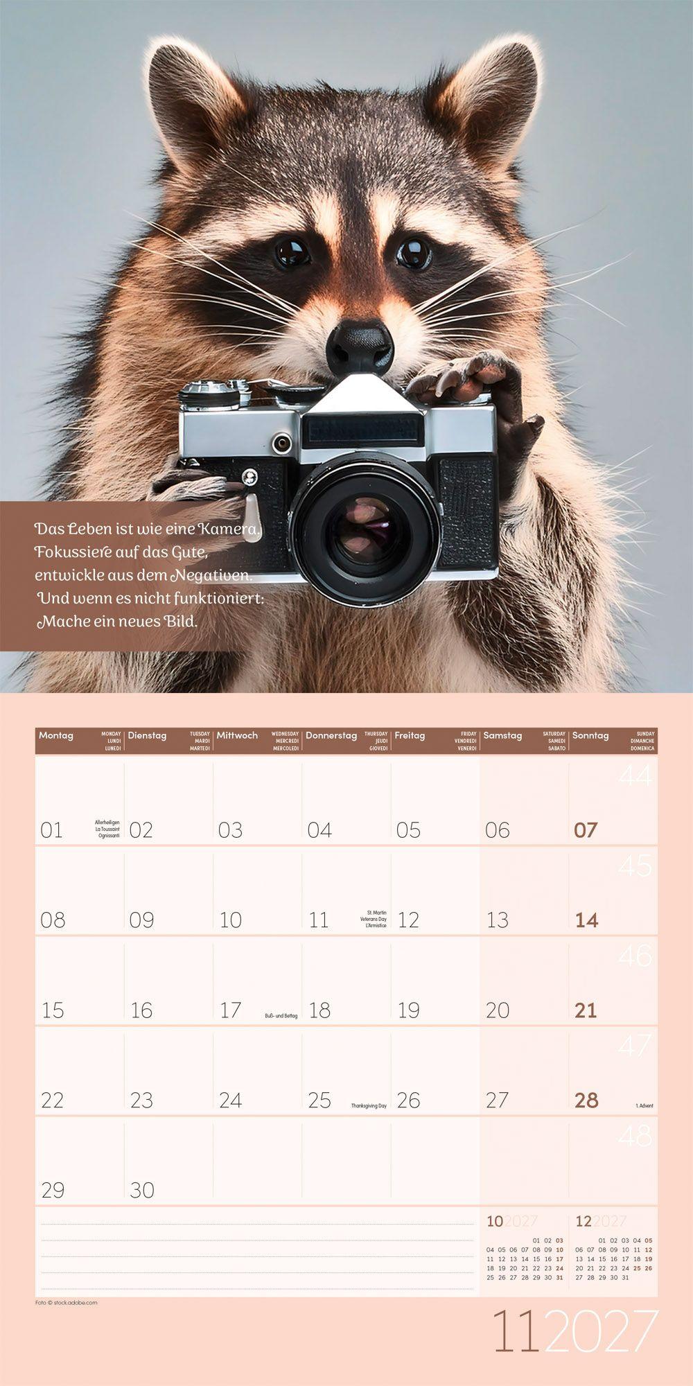 Beispielinhalt (Bild) Alles wird gut Kalender 2027 - 30x30 - Art12