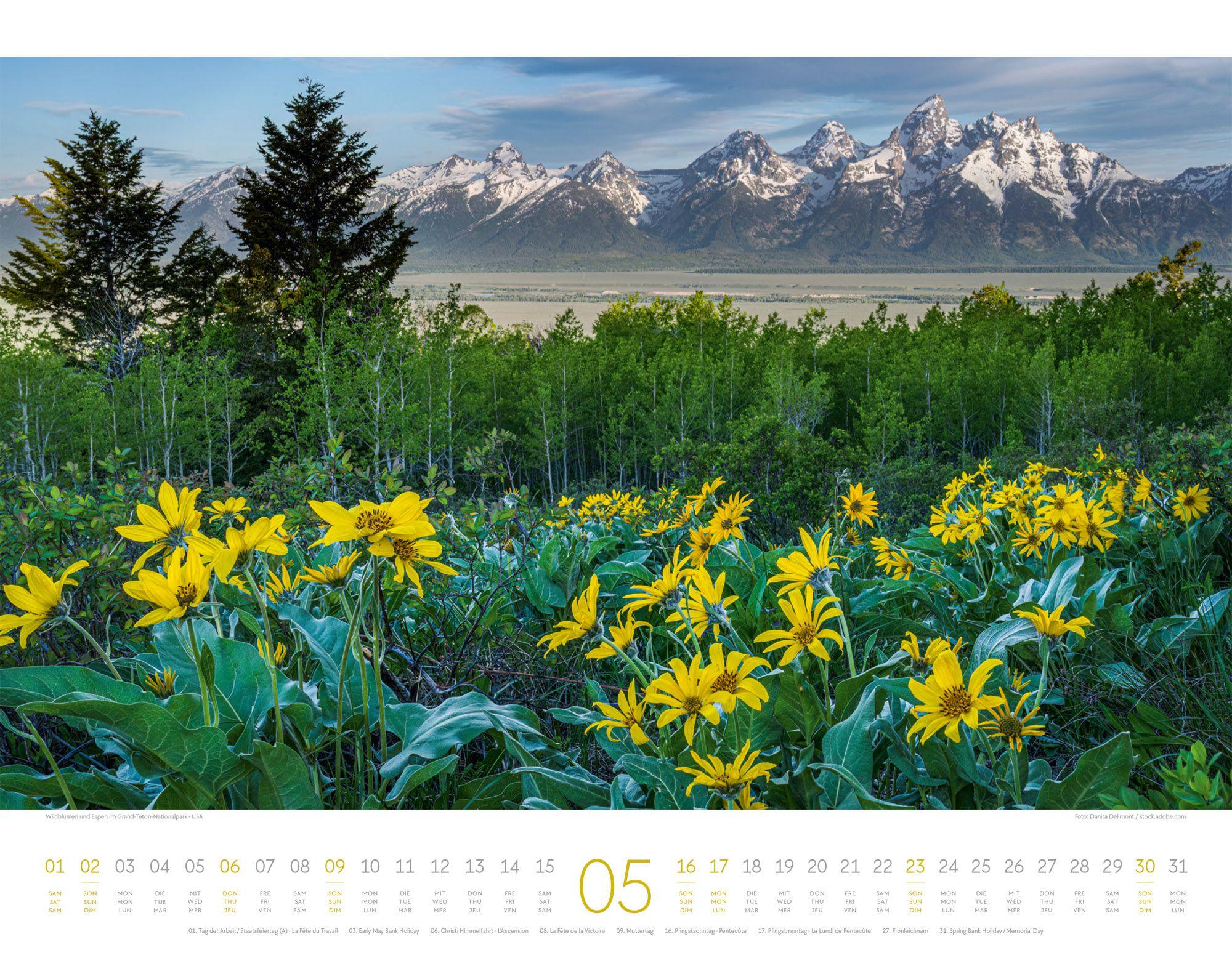Beispielinhalt (Bild) Geheime Paradiese Kalender 2027