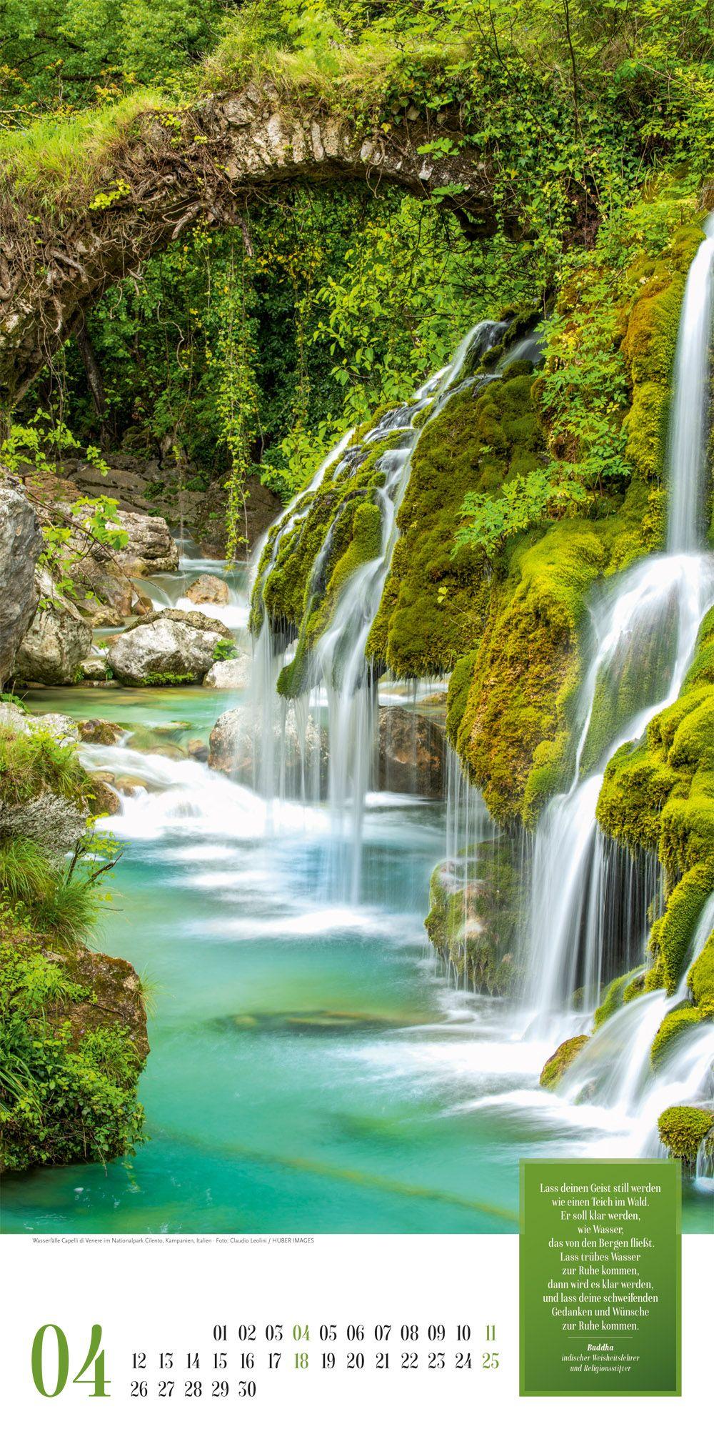 Beispielinhalt (Bild) Mythos Wald Literatur-Kalender 2027