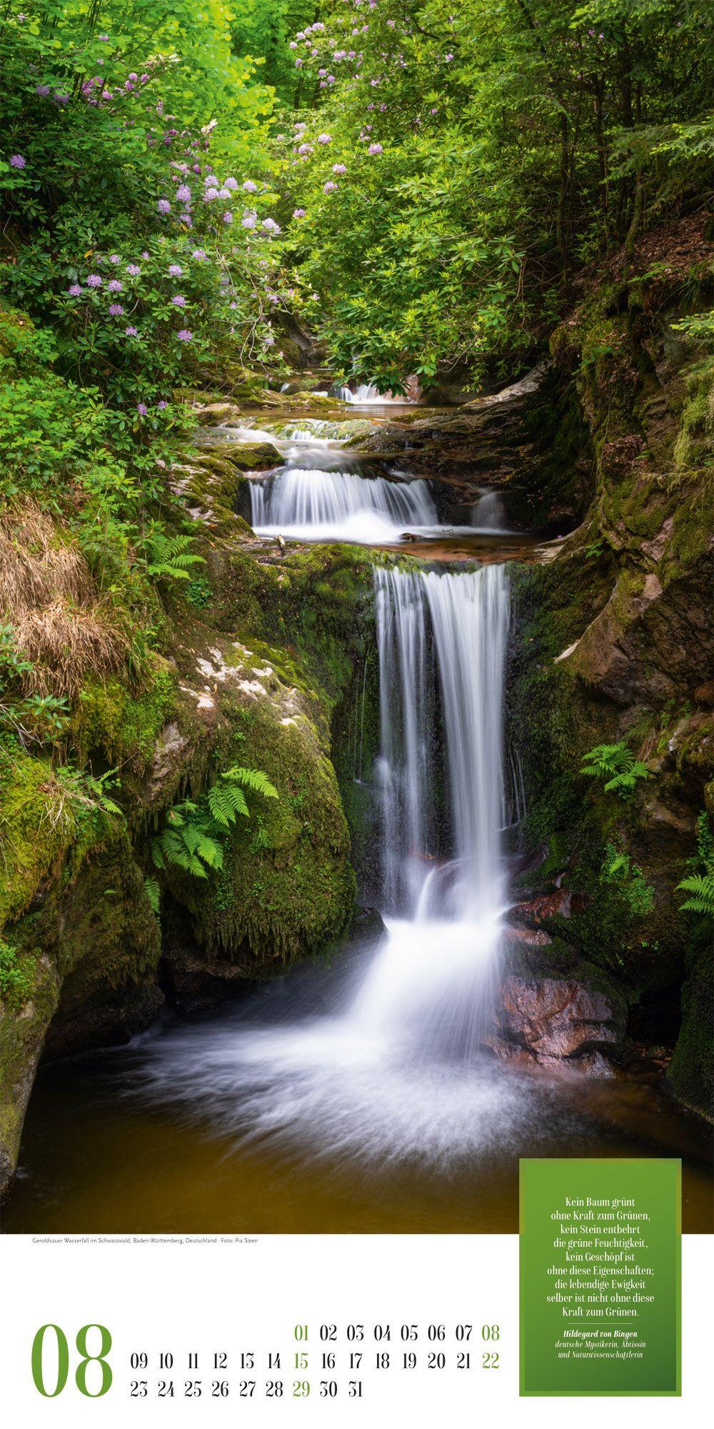 Beispielinhalt (Bild) Mythos Wald Literatur-Kalender 2027
