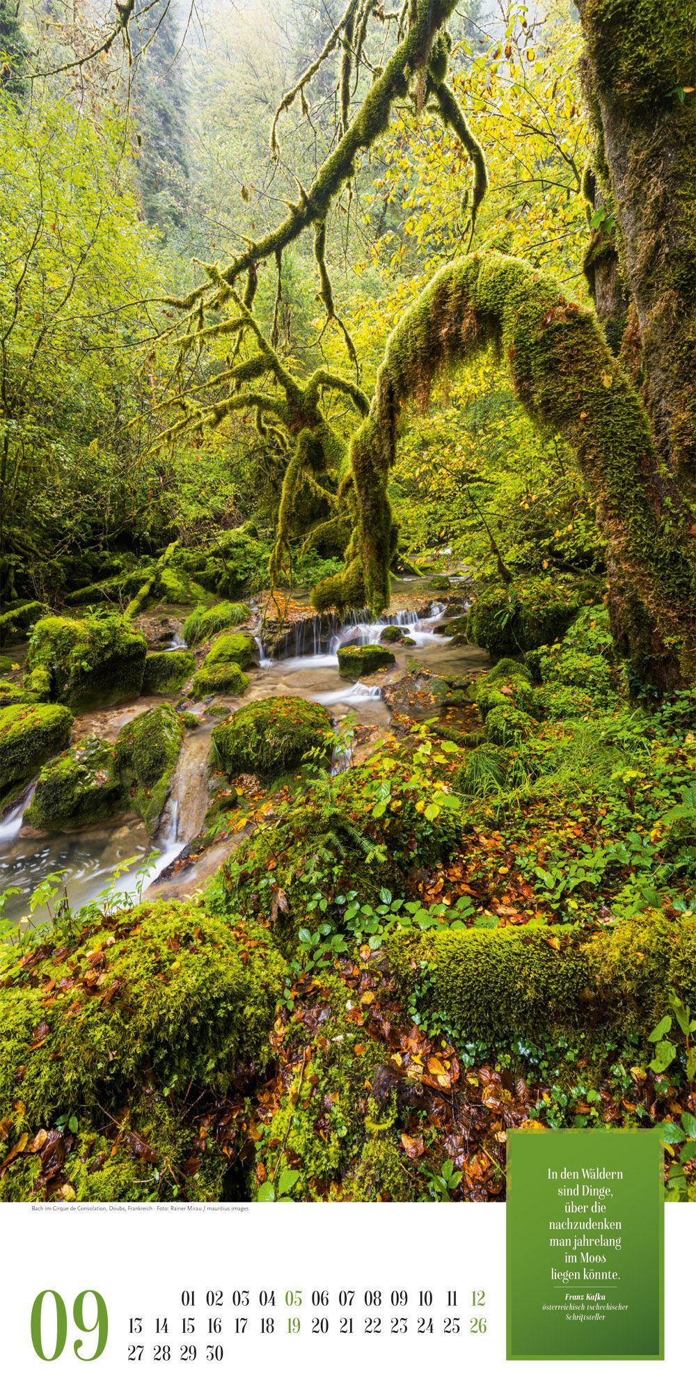 Beispielinhalt (Bild) Mythos Wald Literatur-Kalender 2027