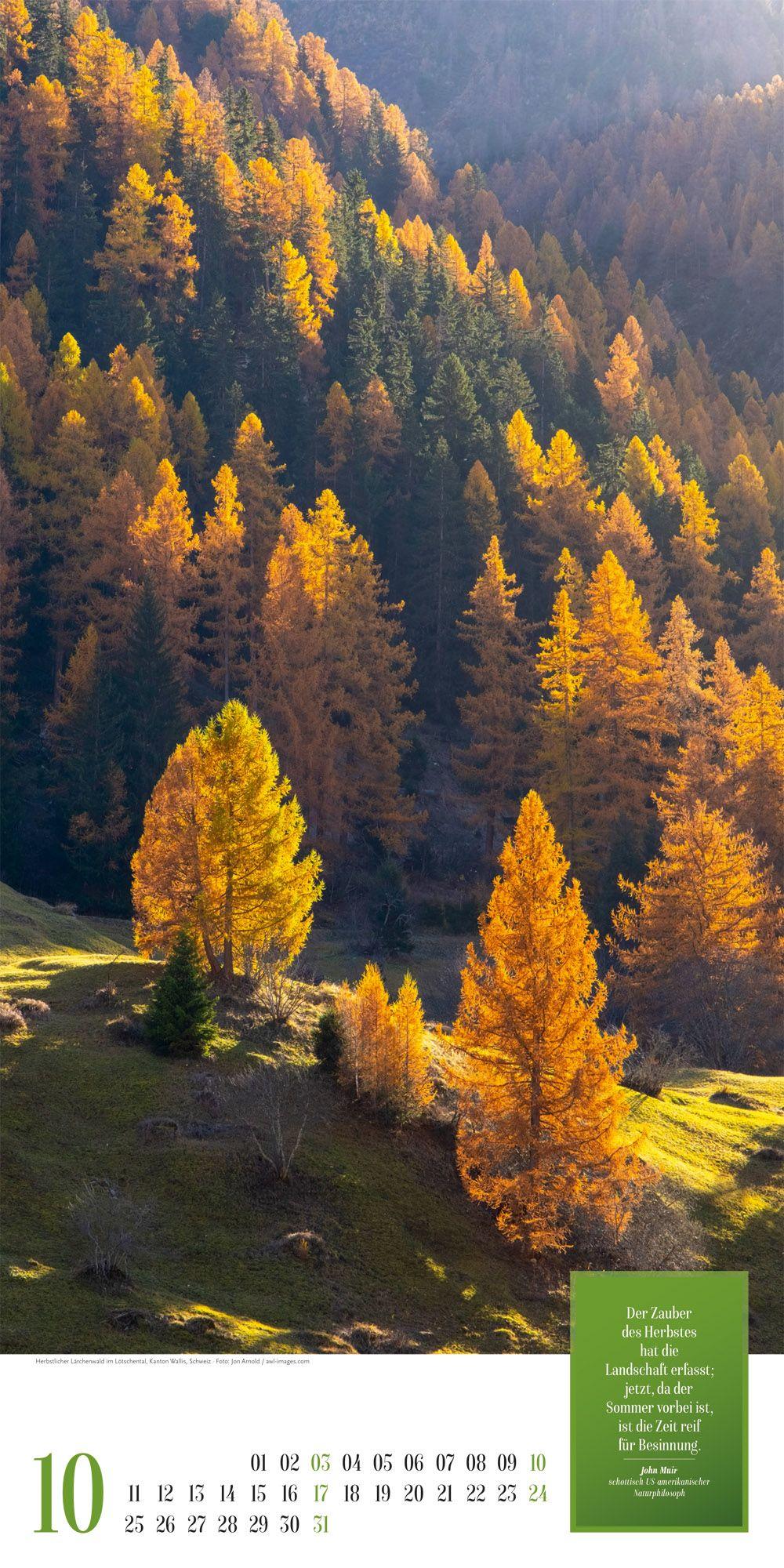 Beispielinhalt (Bild) Mythos Wald Literatur-Kalender 2027
