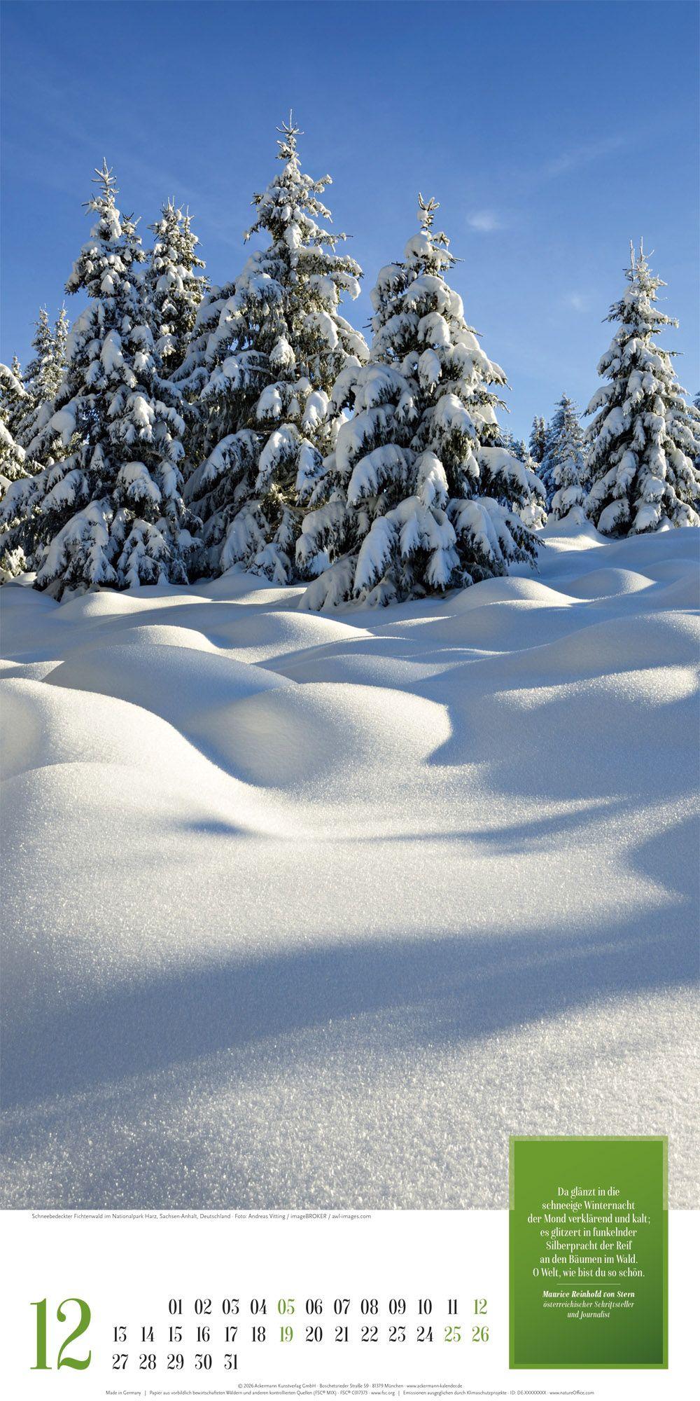 Beispielinhalt (Bild) Mythos Wald Literatur-Kalender 2027