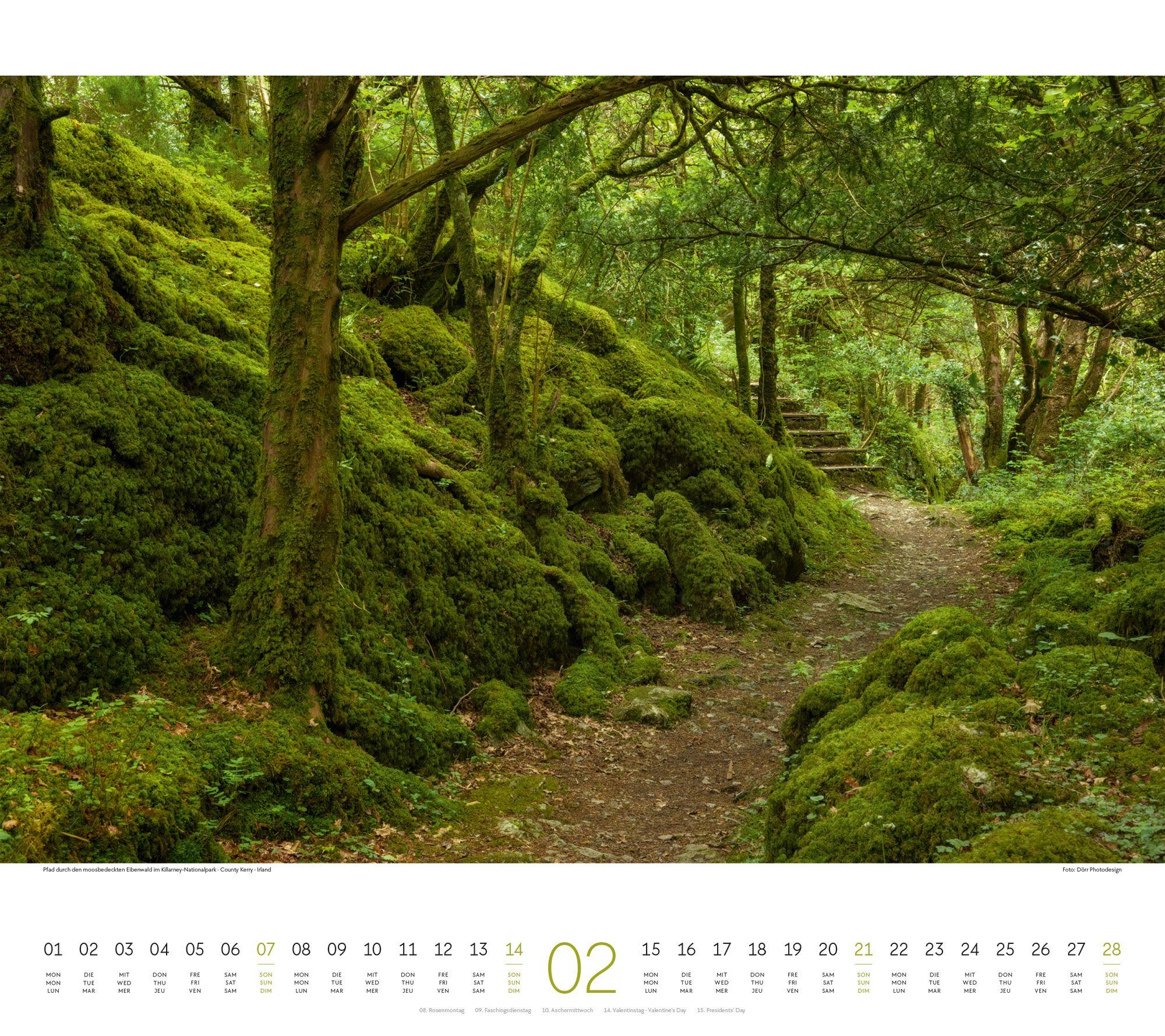 Beispielinhalt (Bild) Wege Kalender 2027