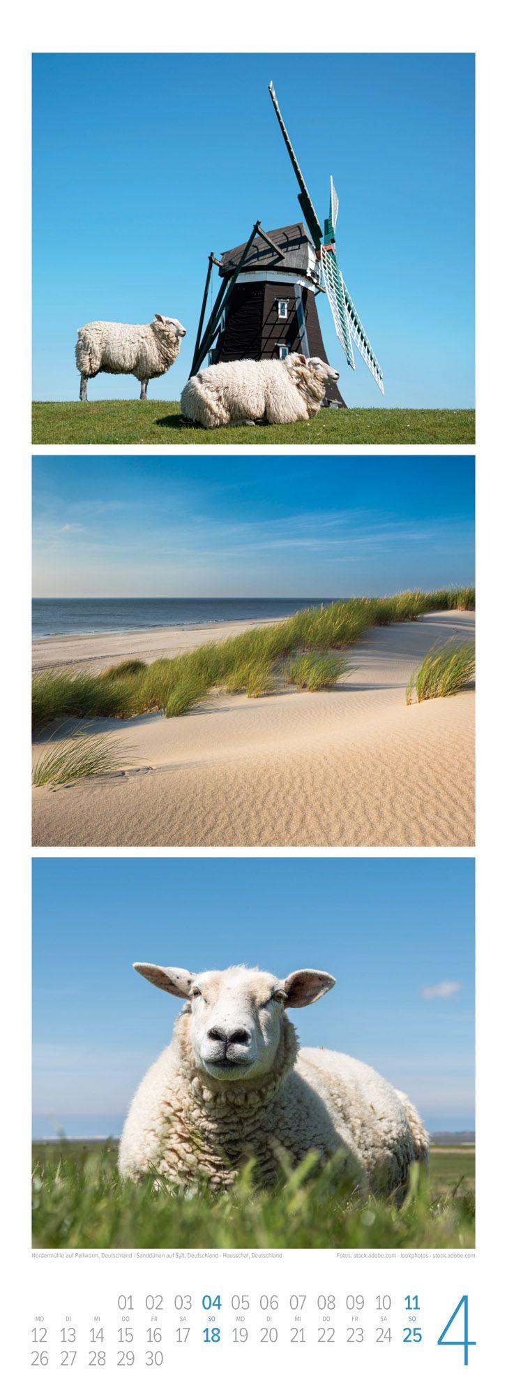 Beispielinhalt (Bild) Wellengang Triplet-Kalender 2027 | Spaziergang entlang der Küste