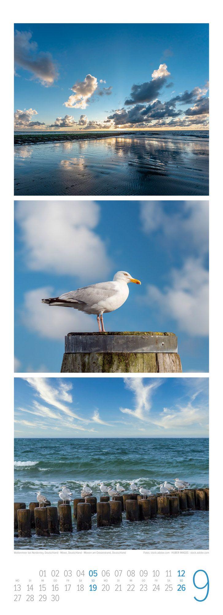 Beispielinhalt (Bild) Wellengang Triplet-Kalender 2027 | Spaziergang entlang der Küste