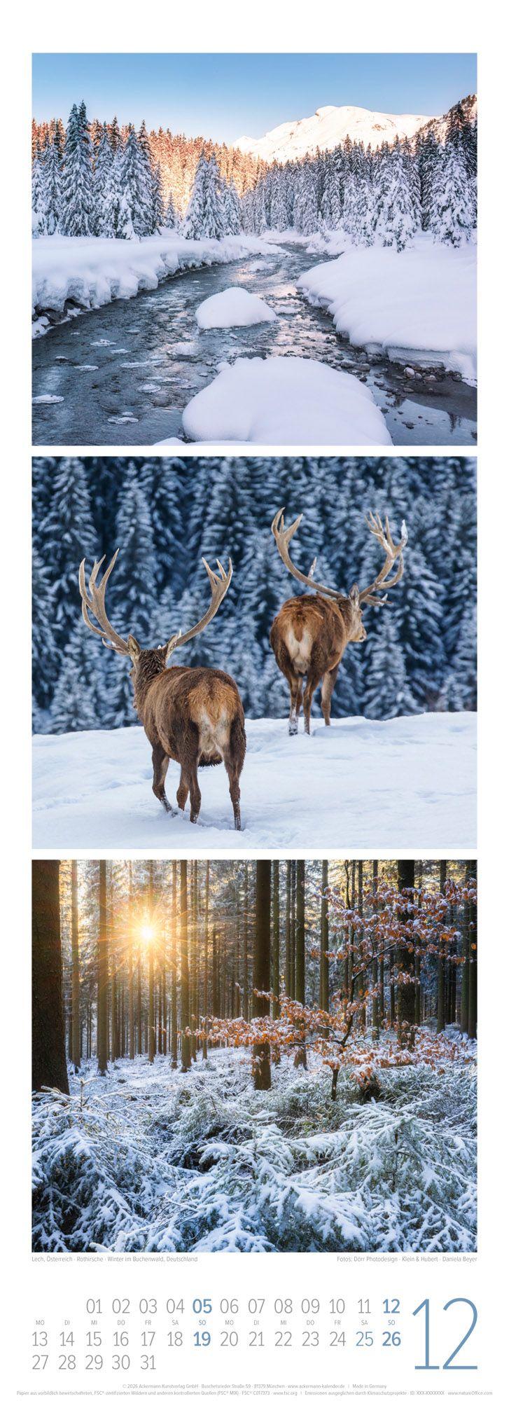 Beispielinhalt (Bild) Waldleben Triplet-Kalender 2027 | Spaziergang durch heimische Wälder