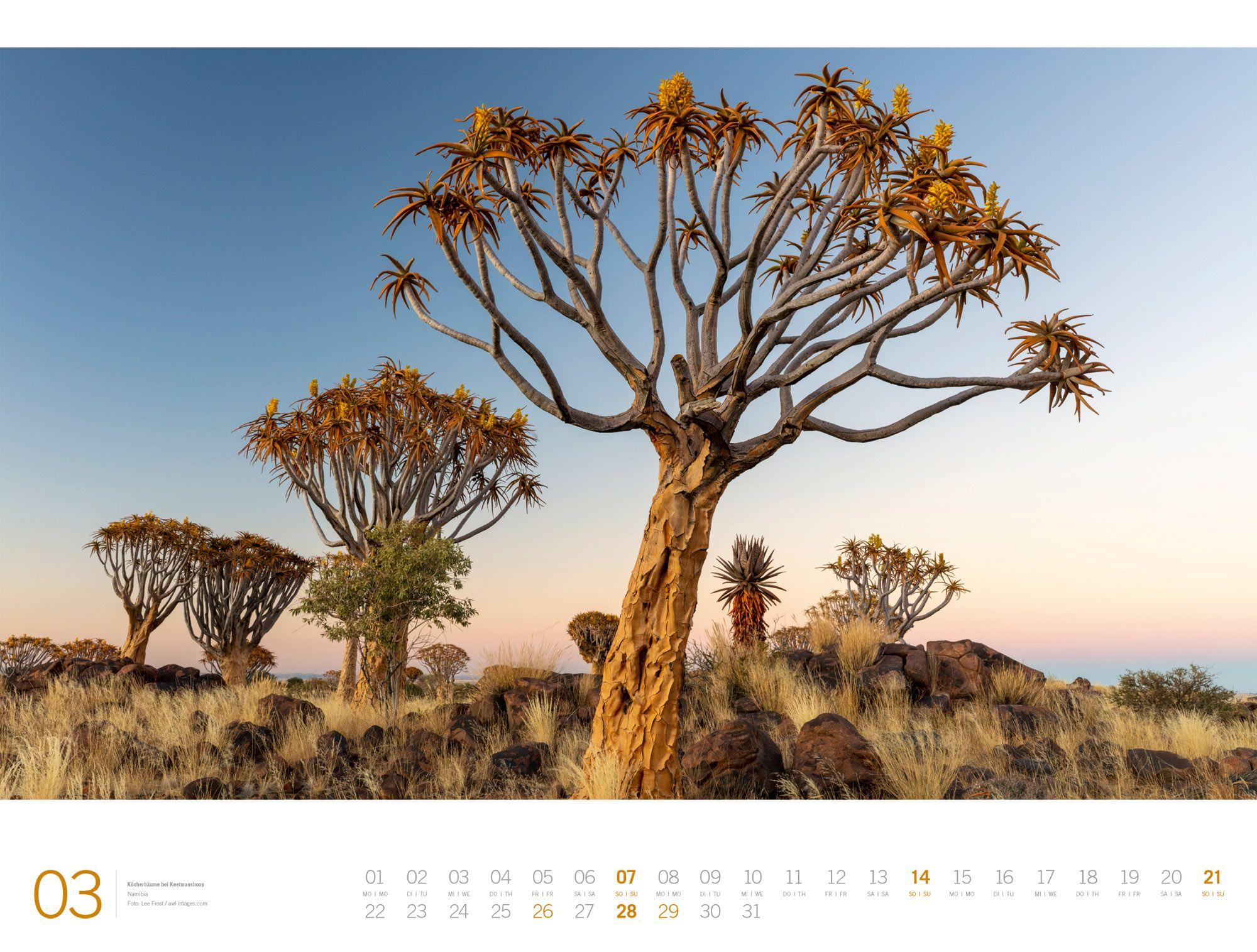 Beispielinhalt (Bild) Afrika Gallery Kalender 2027