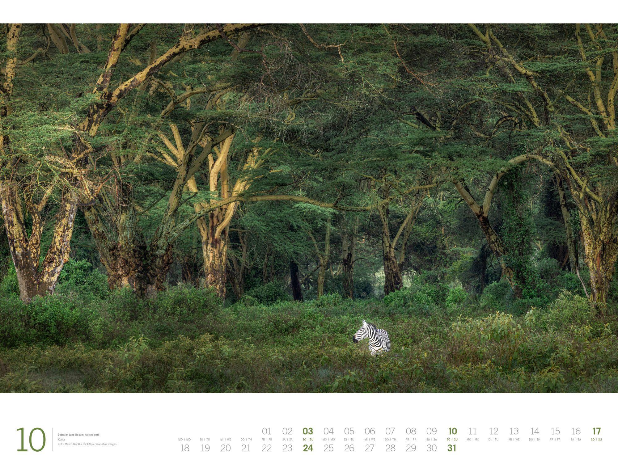 Beispielinhalt (Bild) Afrika Gallery Kalender 2027