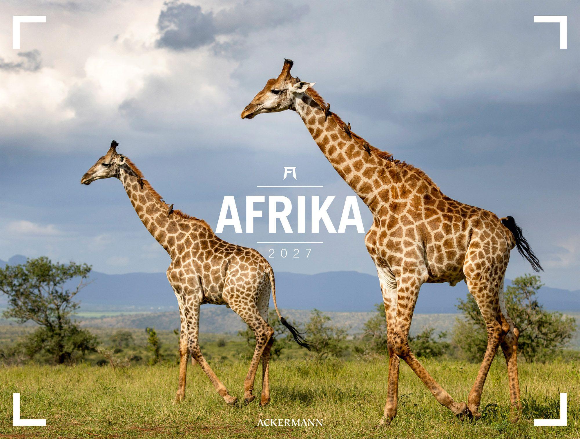 Vorderes Coverbild Afrika Gallery Kalender 2027
