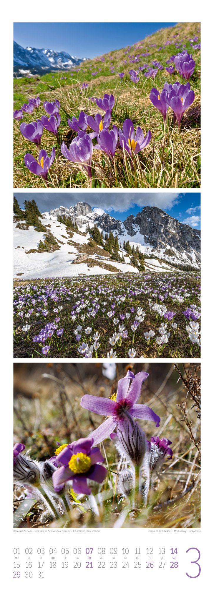 Beispielinhalt (Bild) Bergzeit Triplet-Kalender 2027