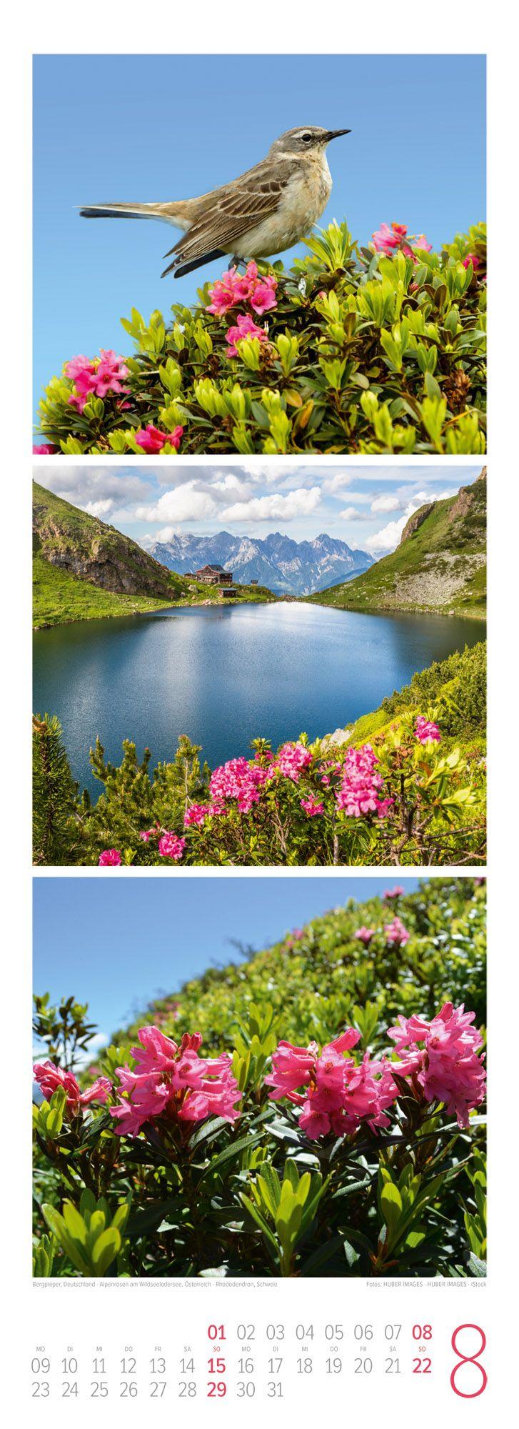 Beispielinhalt (Bild) Bergzeit Triplet-Kalender 2027