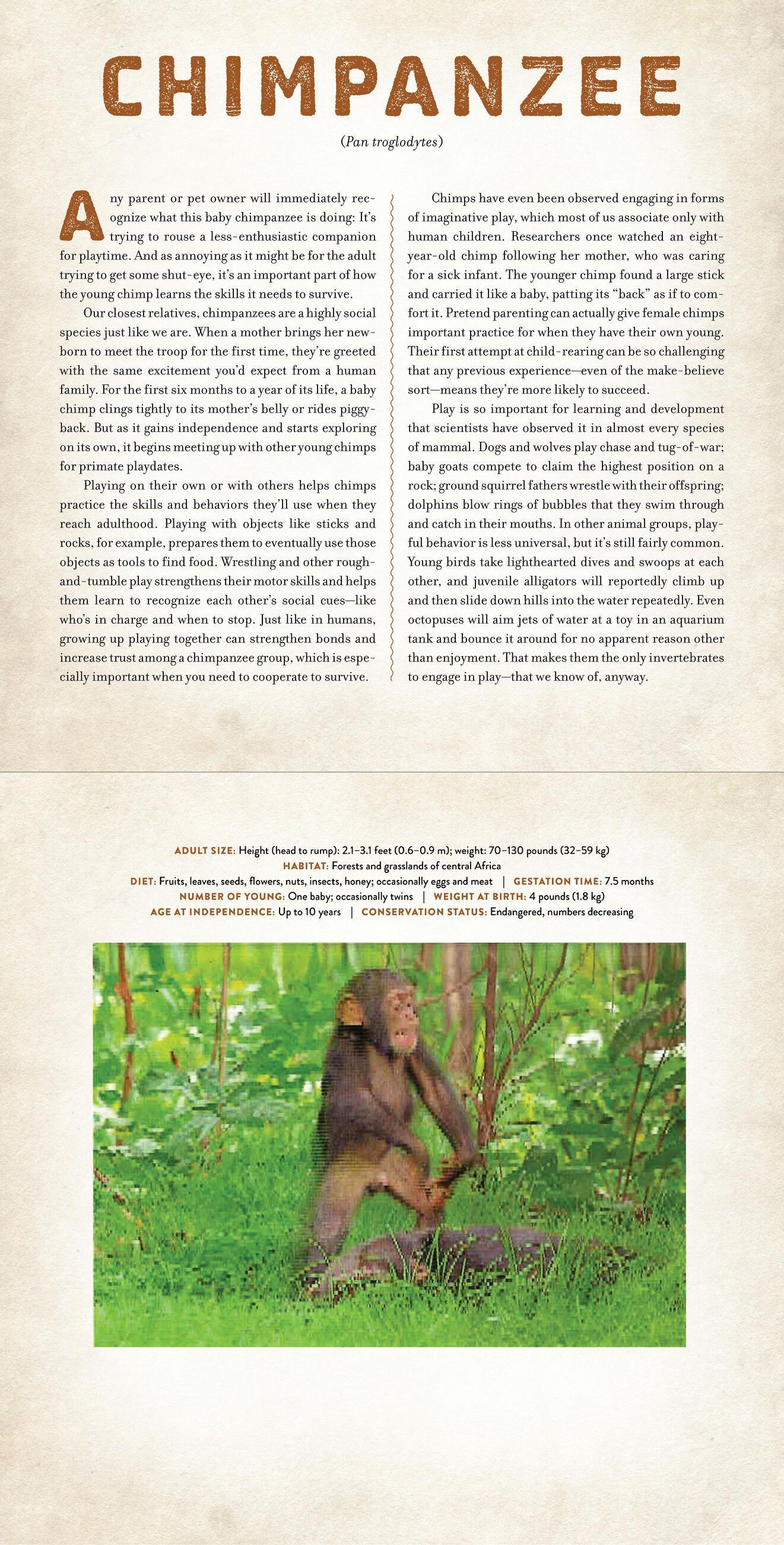 Beispielinhalt (Bild) Babies