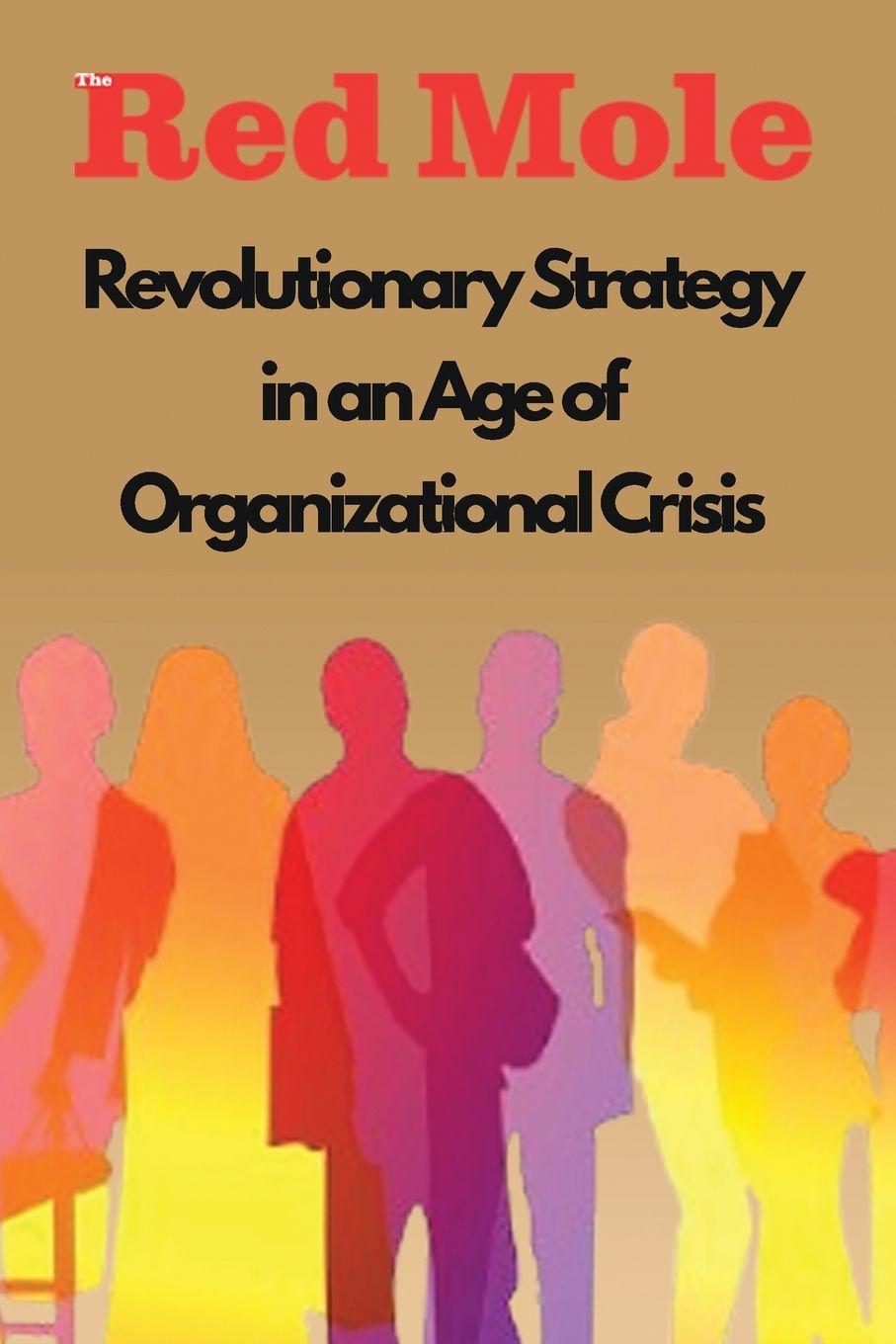 Vorderes Coverbild Revolutionary Strategy in an Age of Organizational Crisis