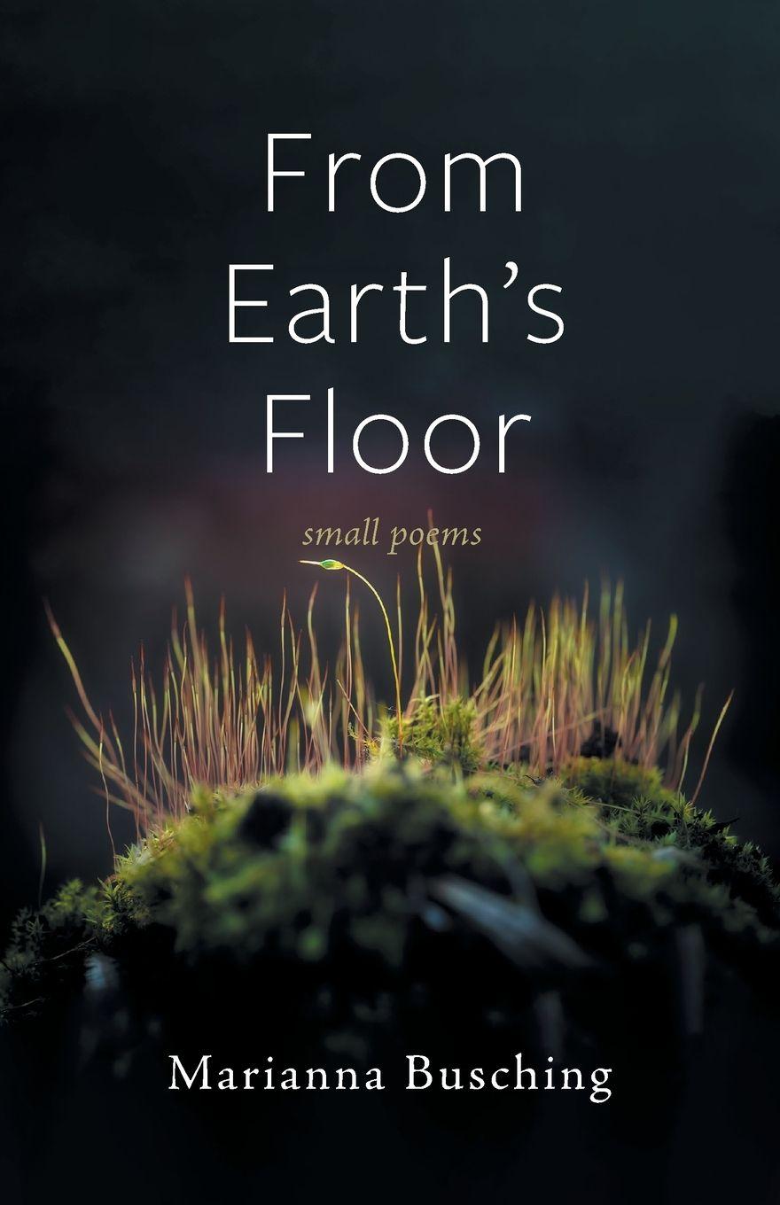 Vorderes Coverbild From Earth's Floor