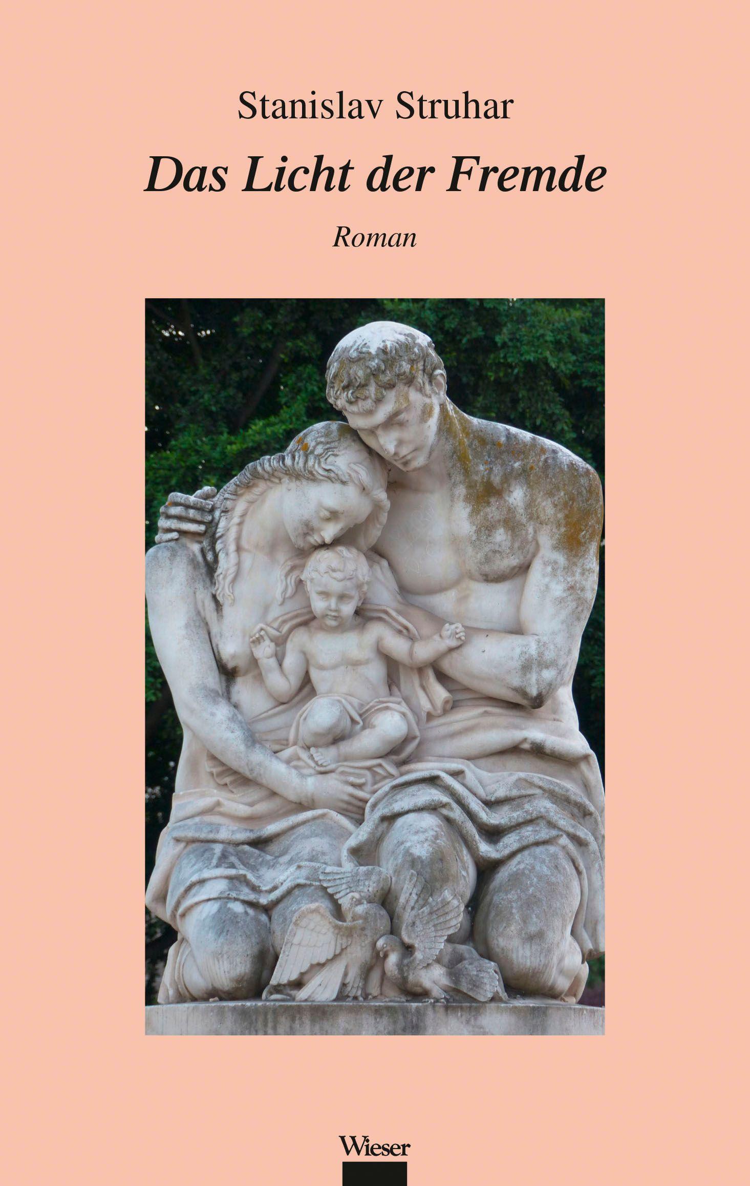 Vorderes Coverbild Das Licht der Fremde