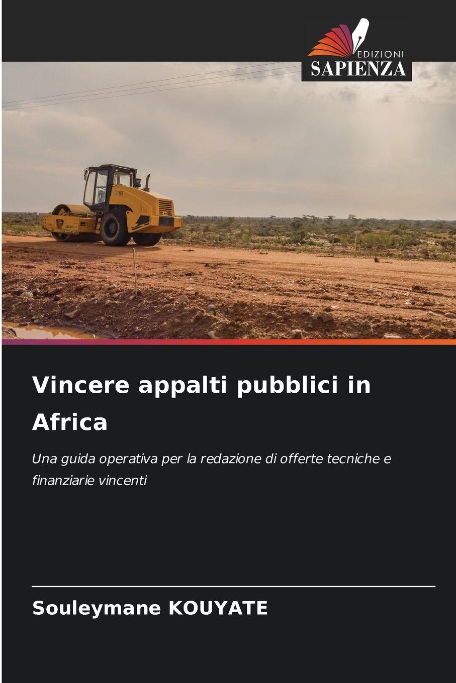 Vorderes Coverbild Vincere appalti pubblici in Africa