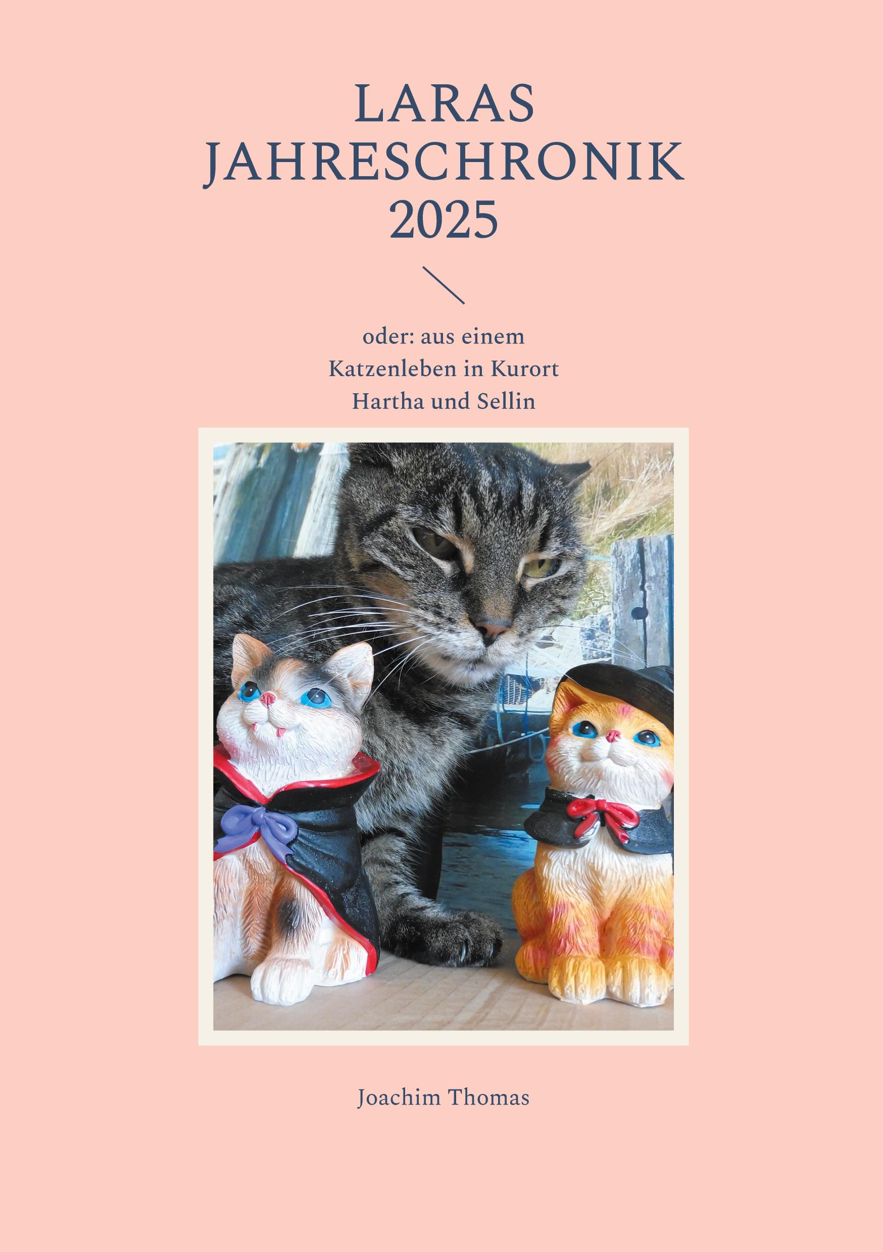 Vorderes Coverbild Laras Jahreschronik 2025