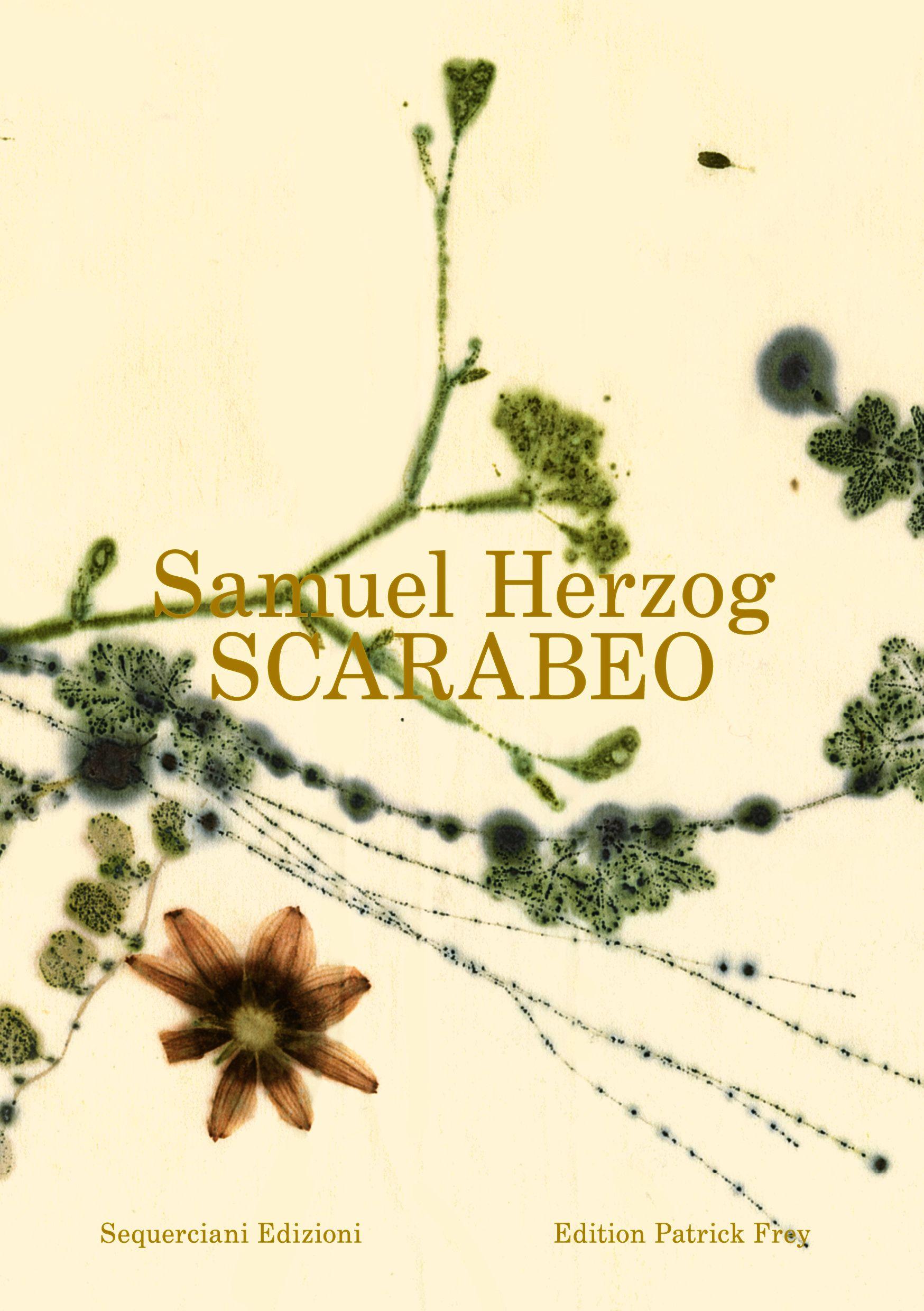 Vorderes Coverbild Scarabeo (EN)