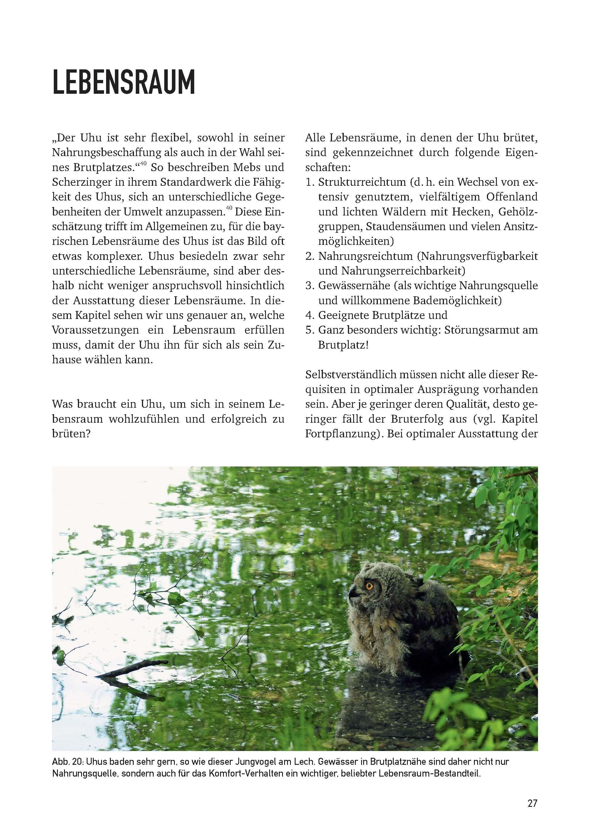 Beispielinhalt (Bild) Der Uhu in Bayern