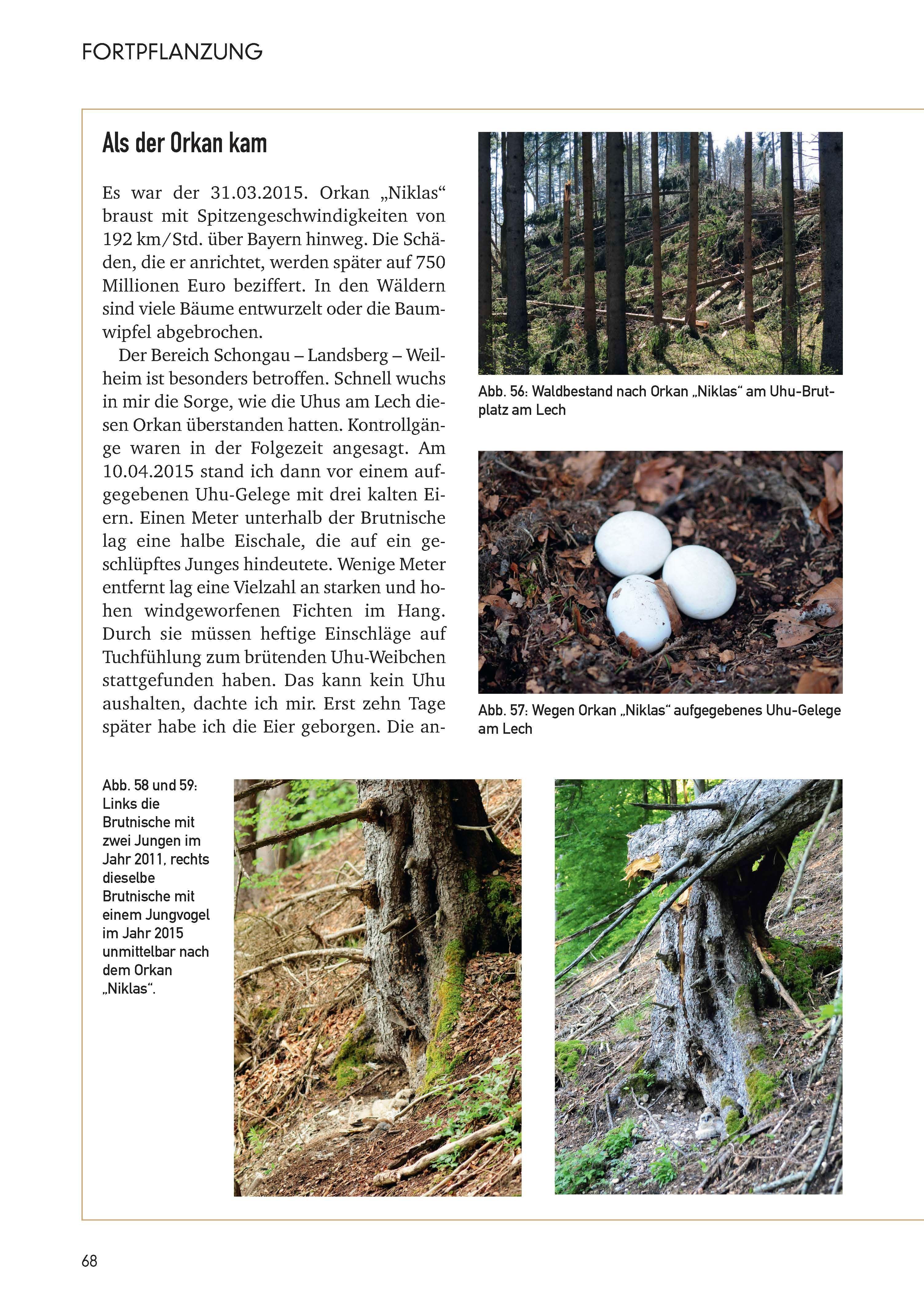 Beispielinhalt (Bild) Der Uhu in Bayern