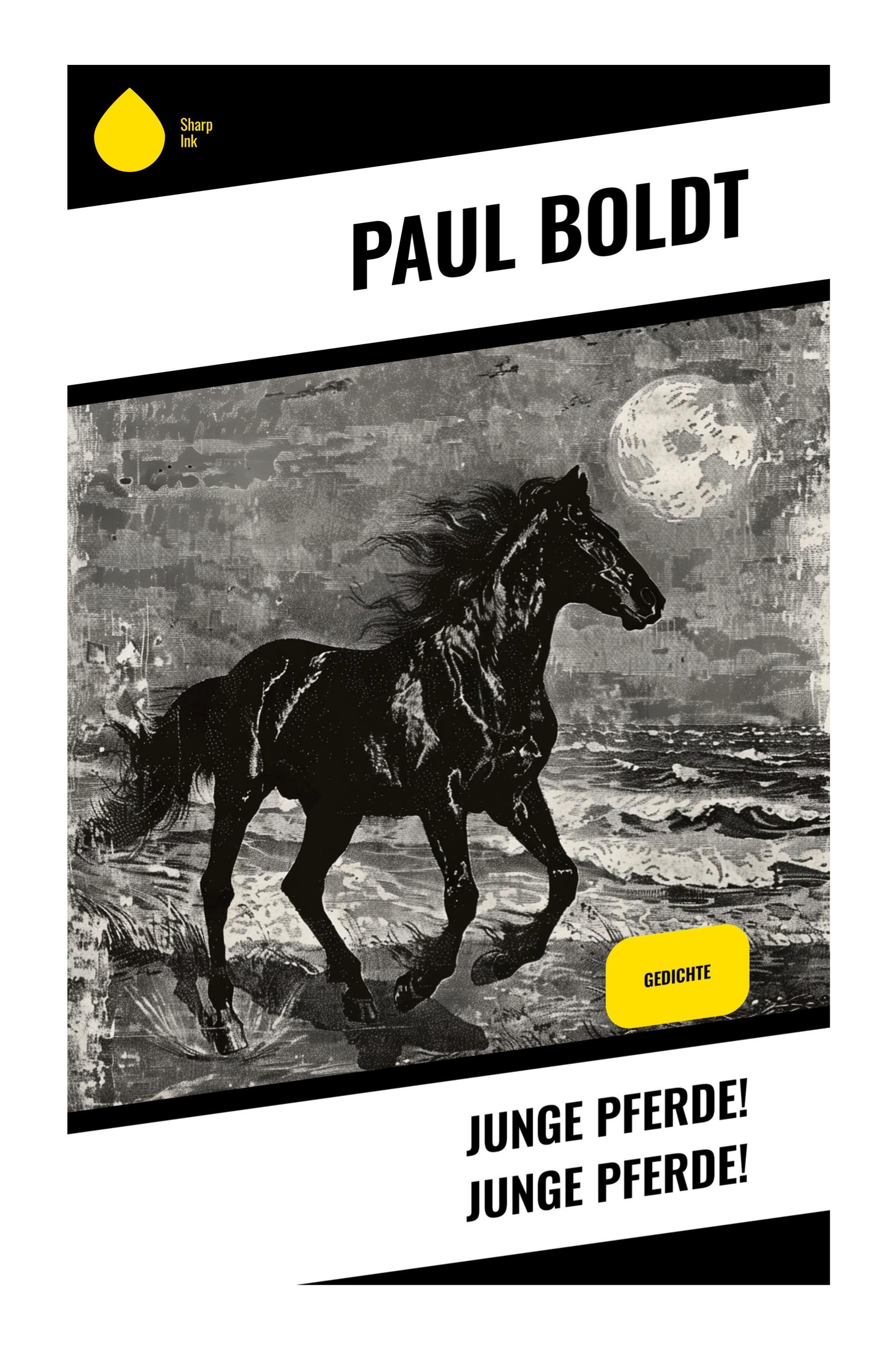 Vorderes Coverbild Junge Pferde! Junge Pferde!