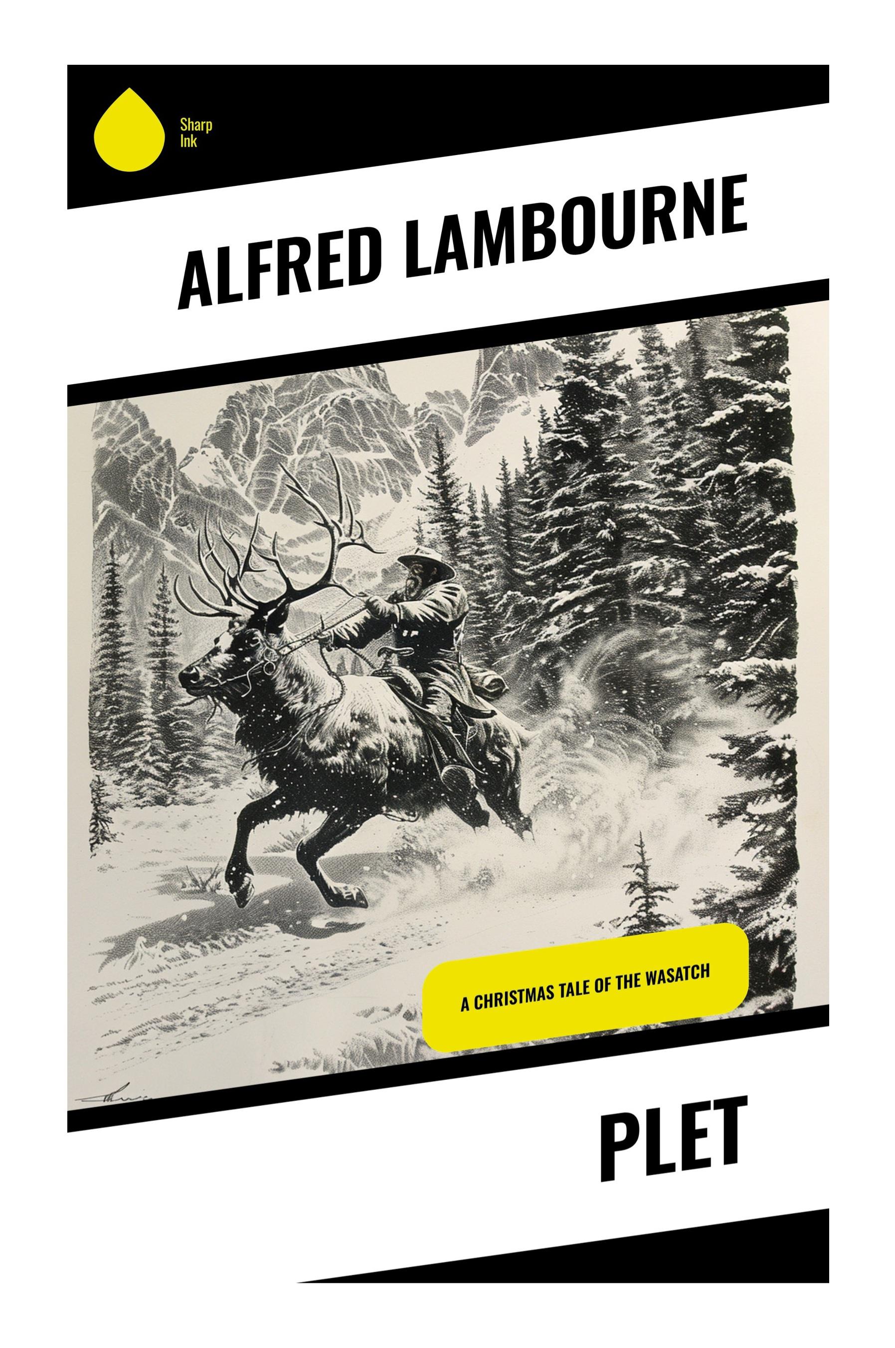 Vorderes Coverbild Plet