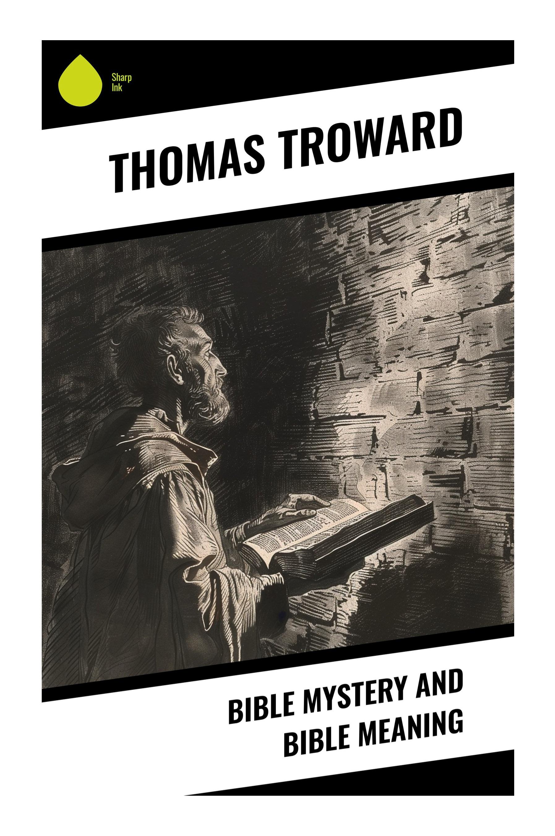 Vorderes Coverbild Bible Mystery and Bible Meaning