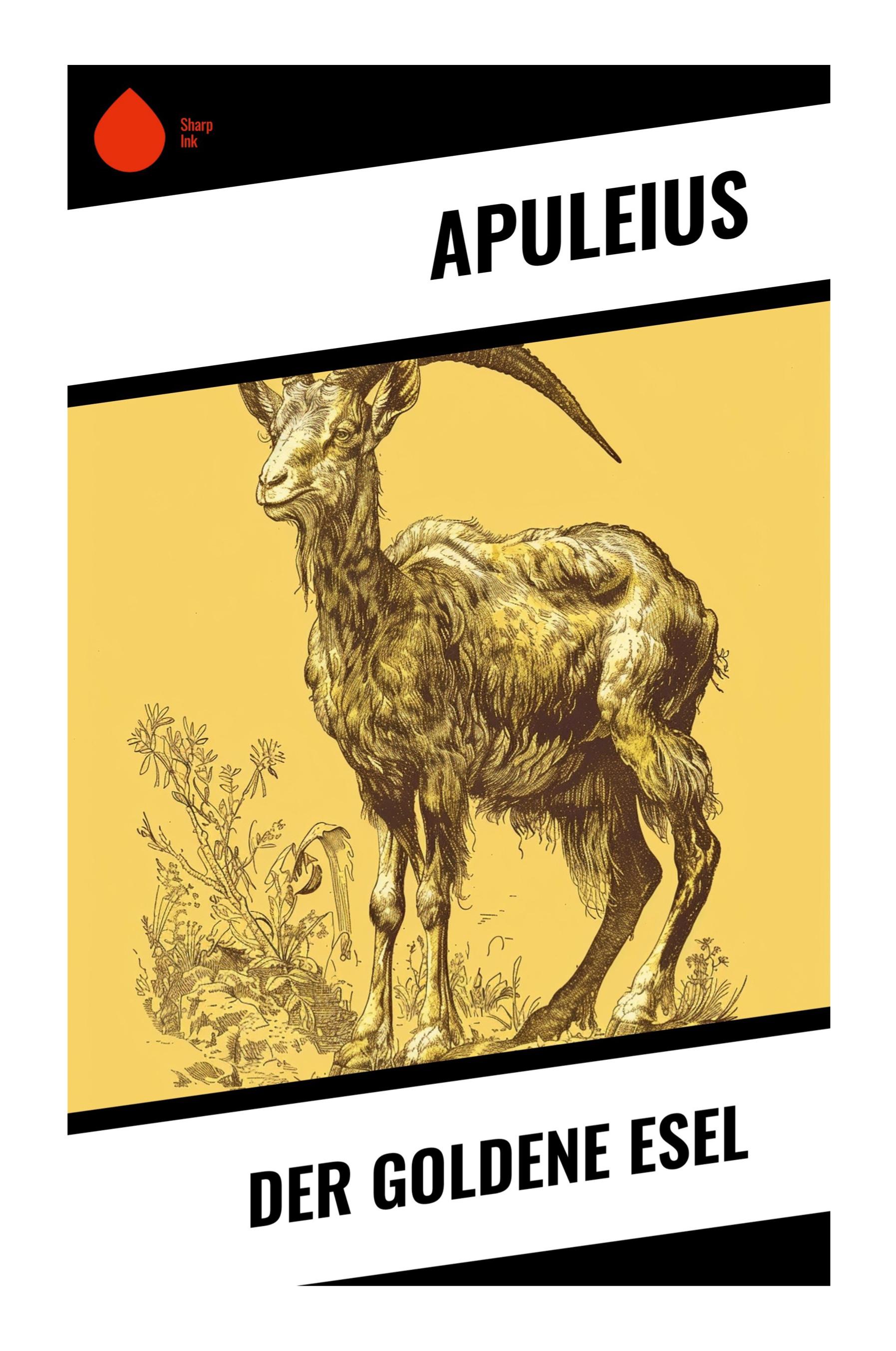 Vorderes Coverbild Der goldene Esel