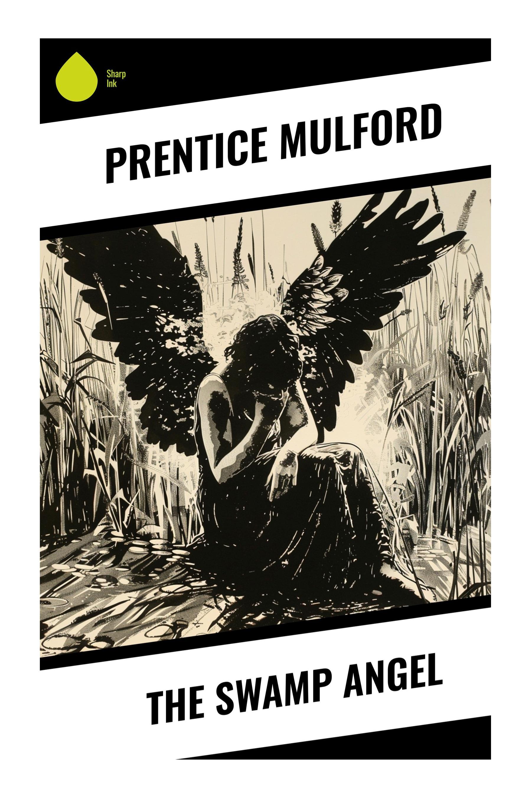 Vorderes Coverbild The Swamp Angel