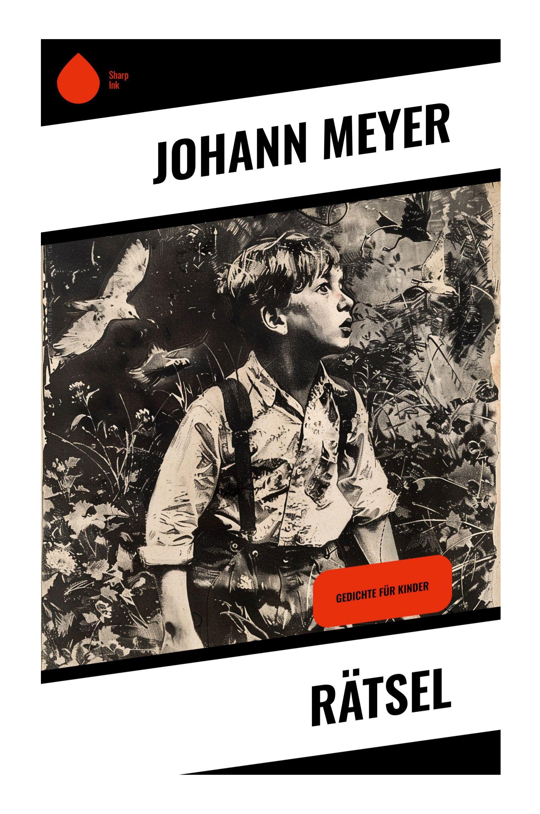 Vorderes Coverbild Rätsel