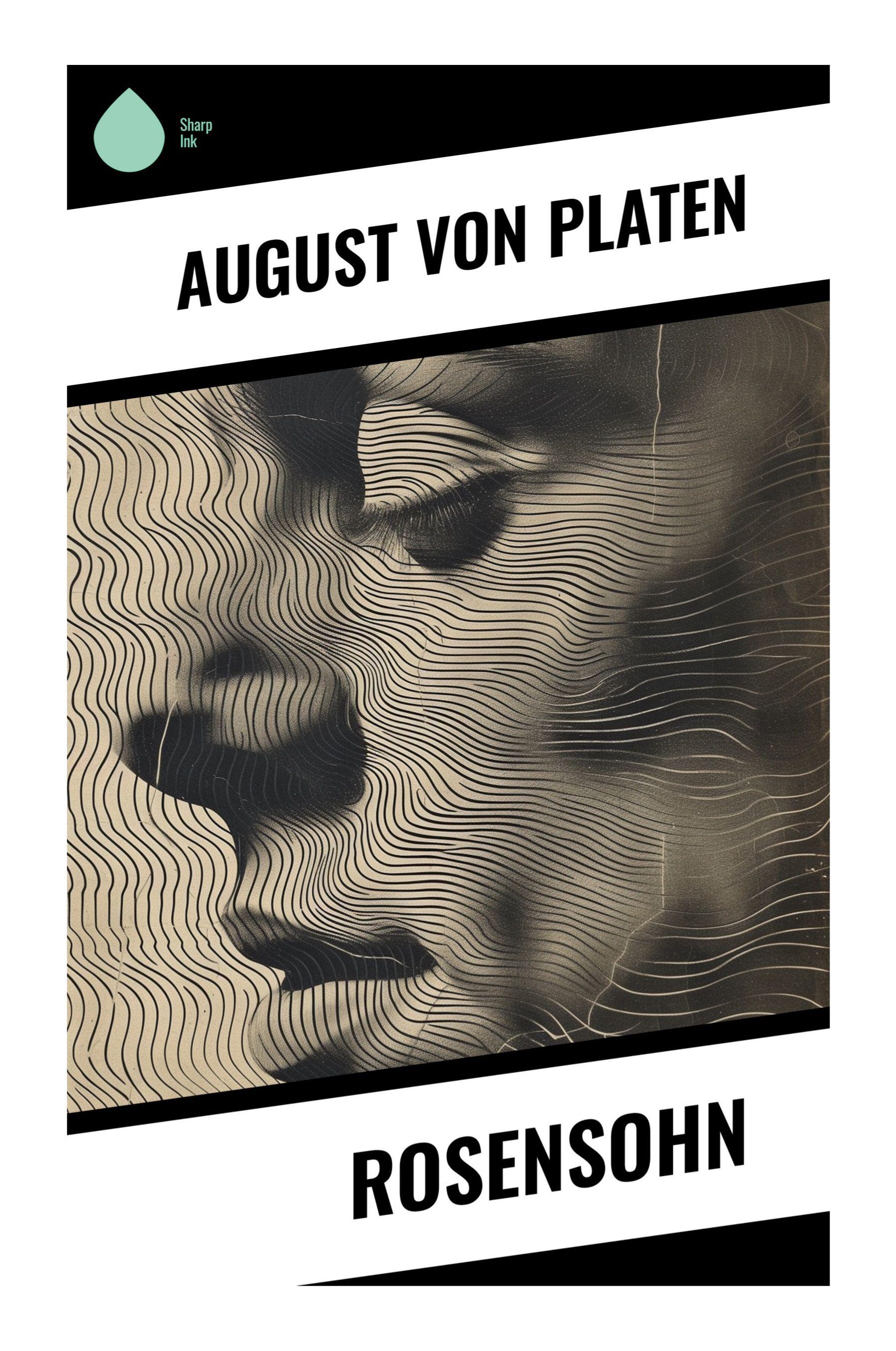 Vorderes Coverbild Rosensohn