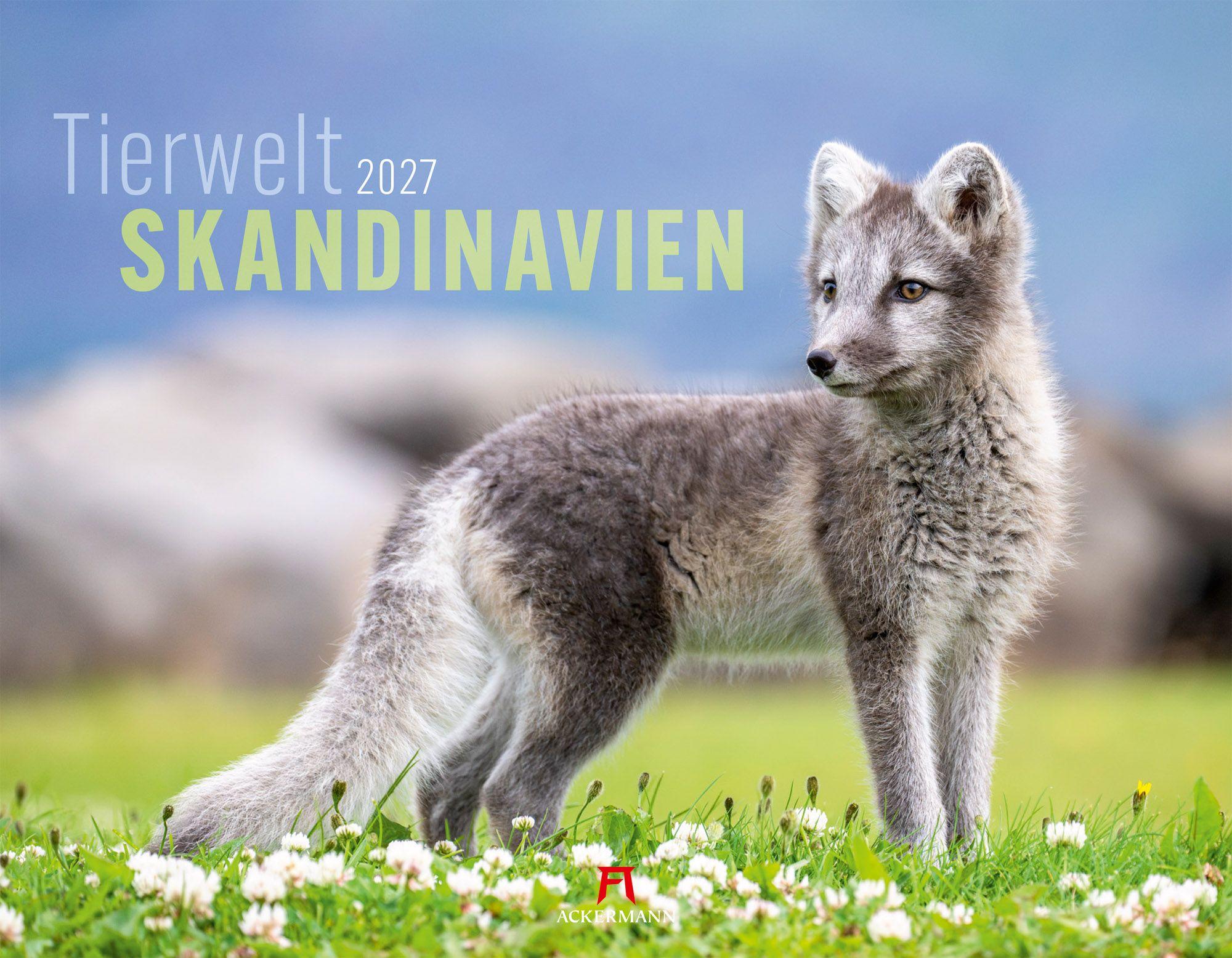 Vorderes Coverbild Tierwelt Skandinavien Kalender 2027