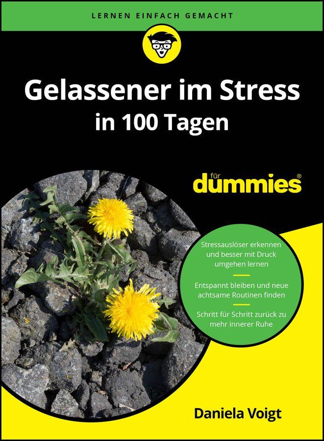 Vorderes Coverbild Gelassener im Stress in 100 Tagen für Dummies