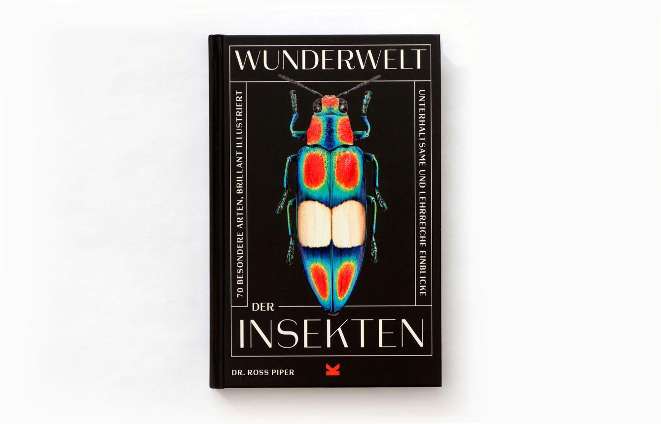 Beispielinhalt (Bild) Wunderwelt der Insekten