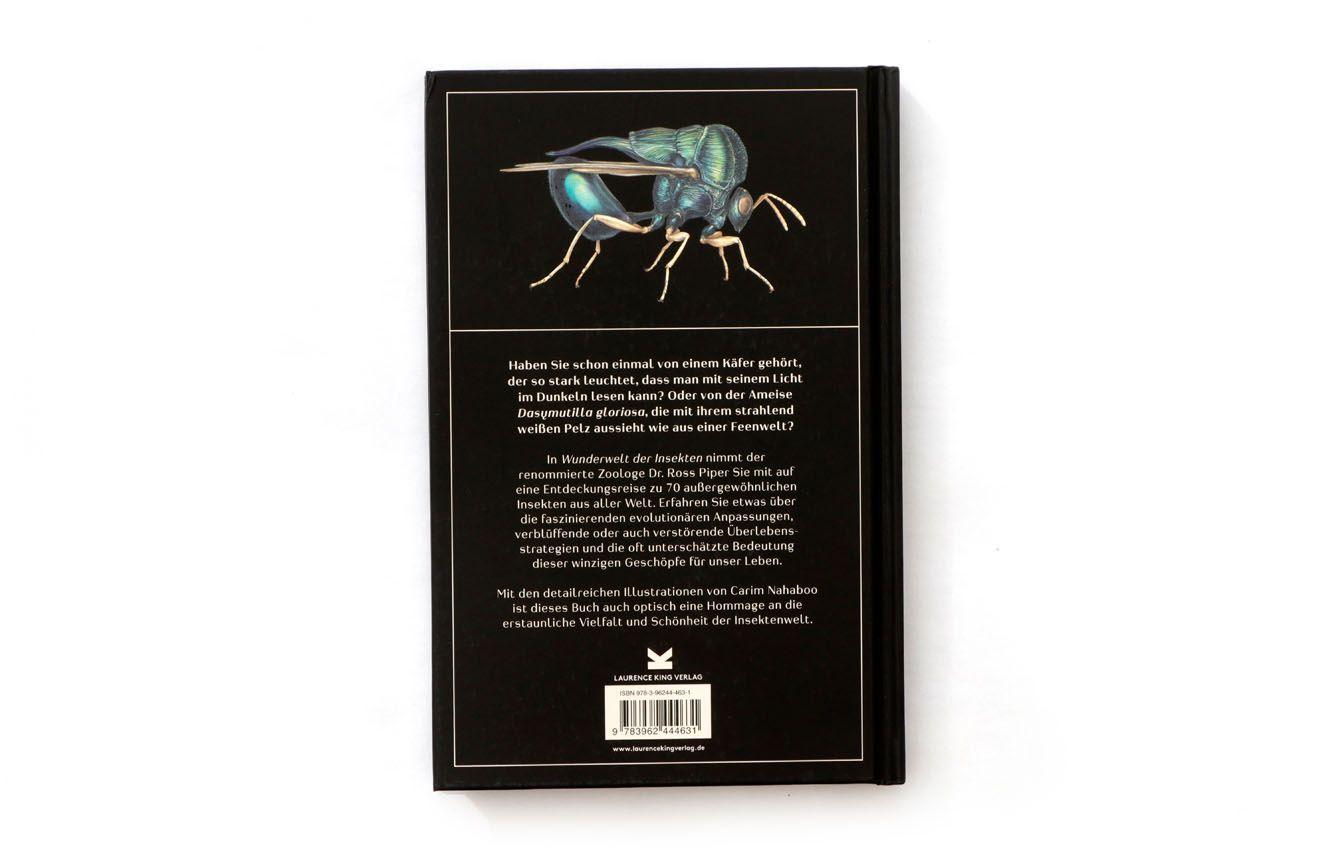 Beispielinhalt (Bild) Wunderwelt der Insekten