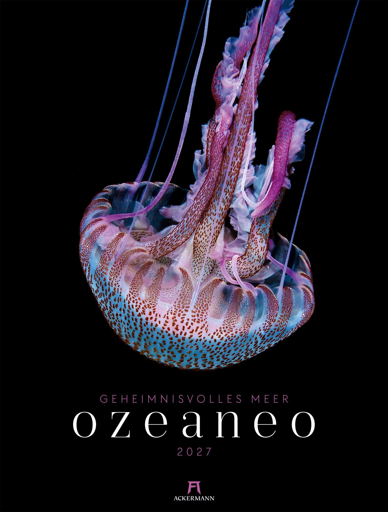Vorderes Coverbild Ozeaneo Kalender 2027 | Geheimnisvolles Meer