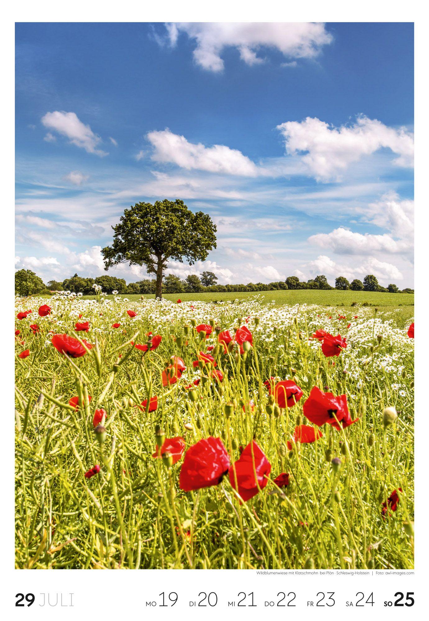 Beispielinhalt (Bild) Küste Wochenkalender 2027
