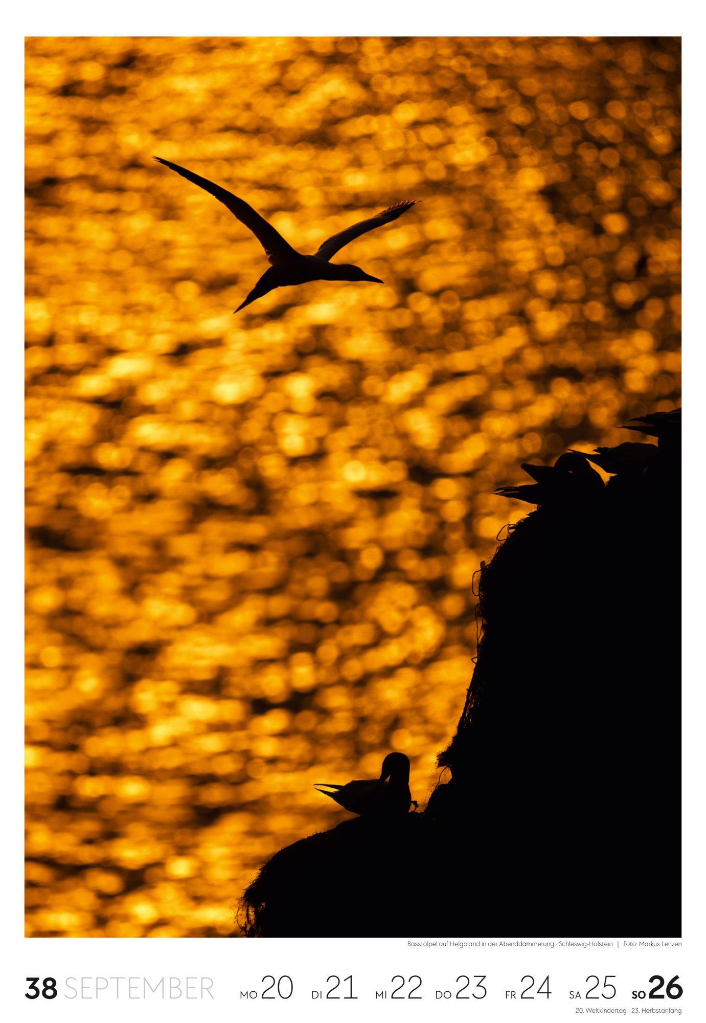 Beispielinhalt (Bild) Küste Wochenkalender 2027