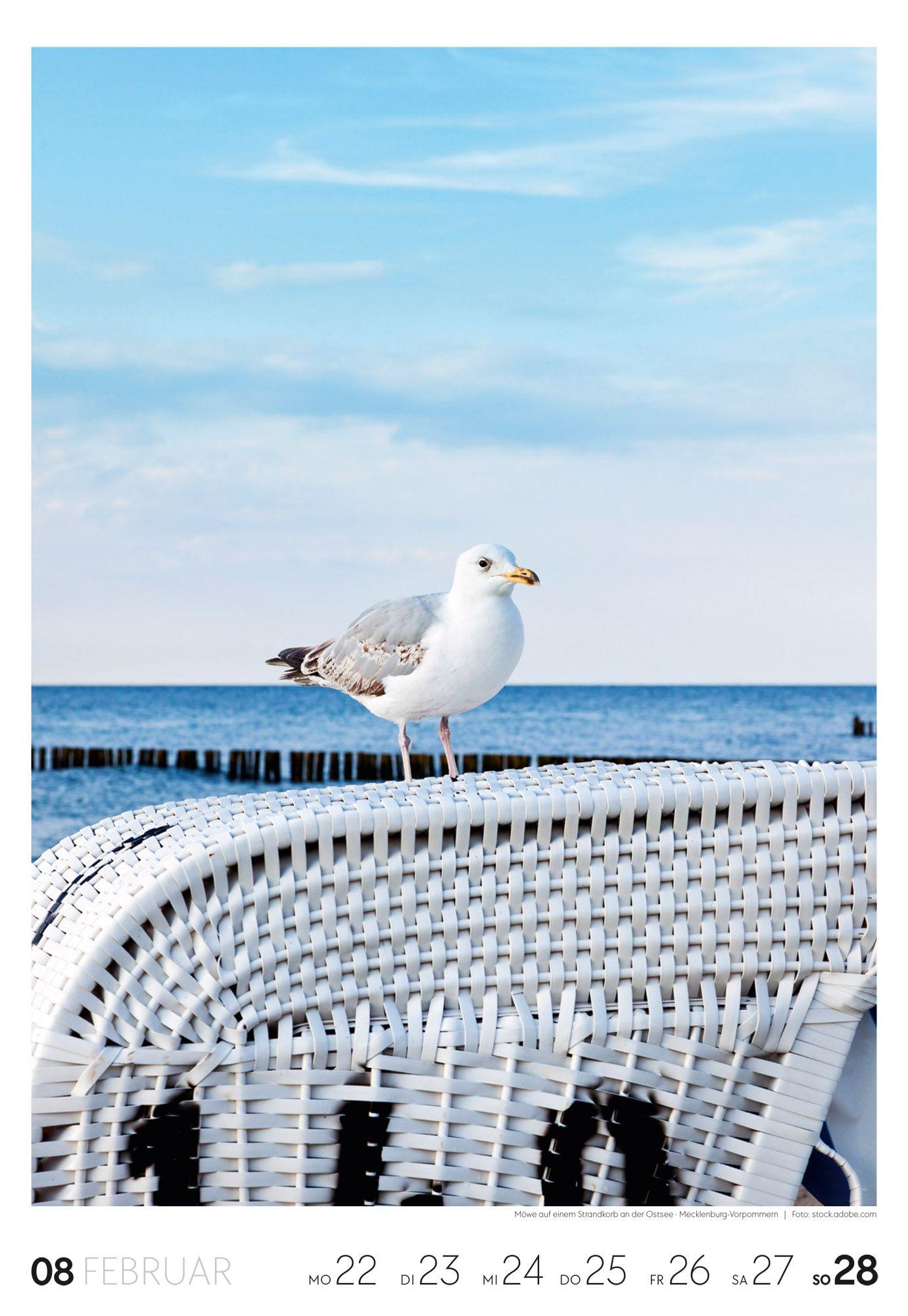 Beispielinhalt (Bild) Küste Wochenkalender 2027