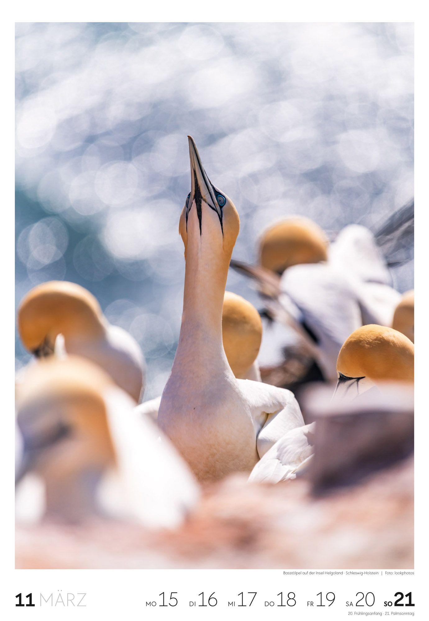 Beispielinhalt (Bild) Küste Wochenkalender 2027