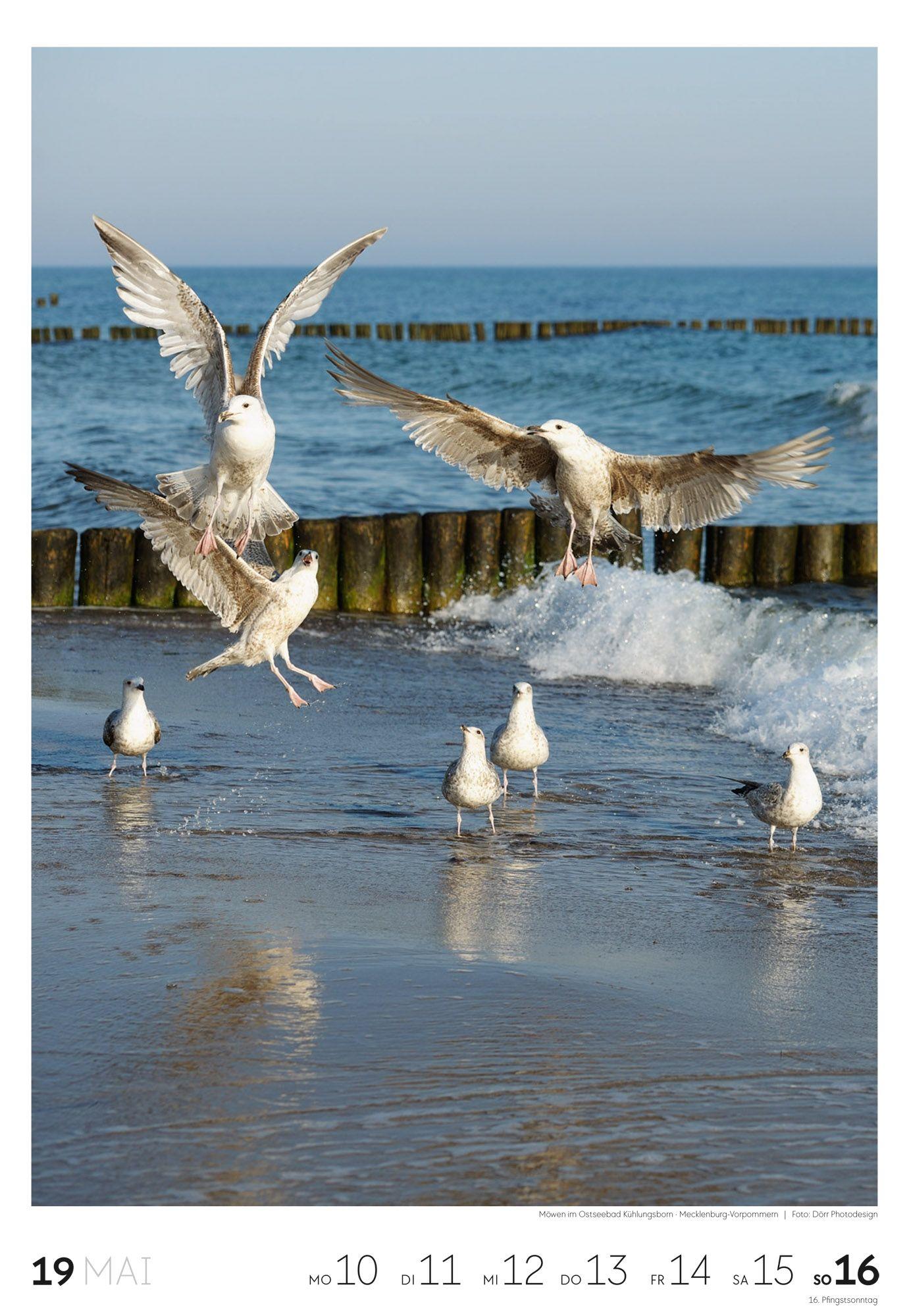 Beispielinhalt (Bild) Küste Wochenkalender 2027