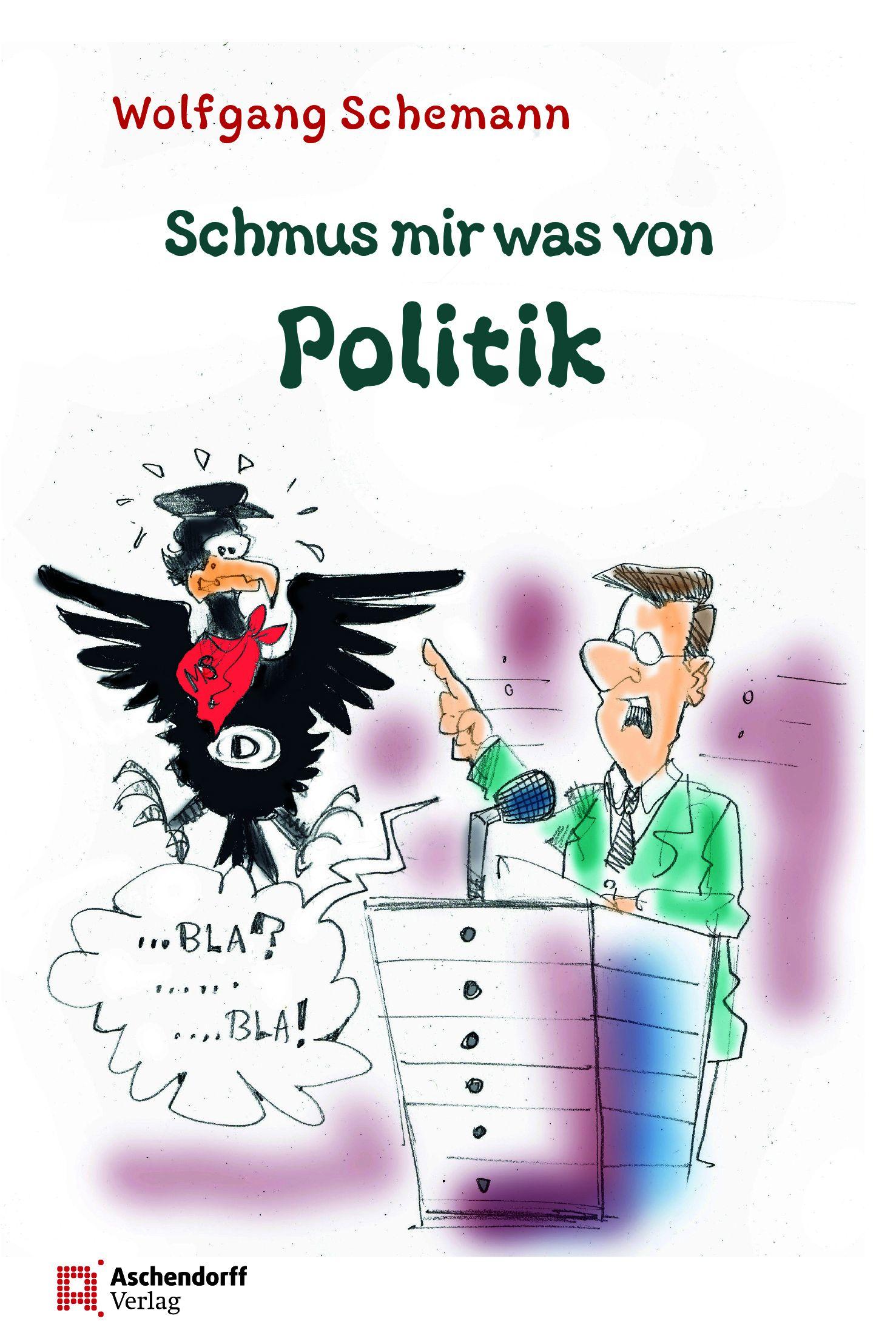 Vorderes Coverbild Schmus mir was von Politik