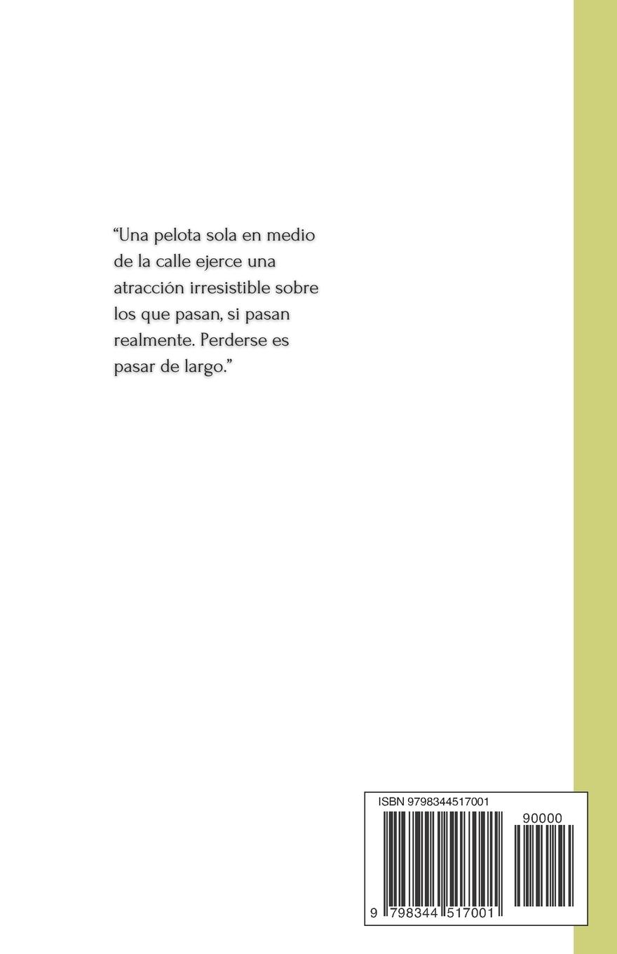 Rückseitencover Los objetos de existencia.