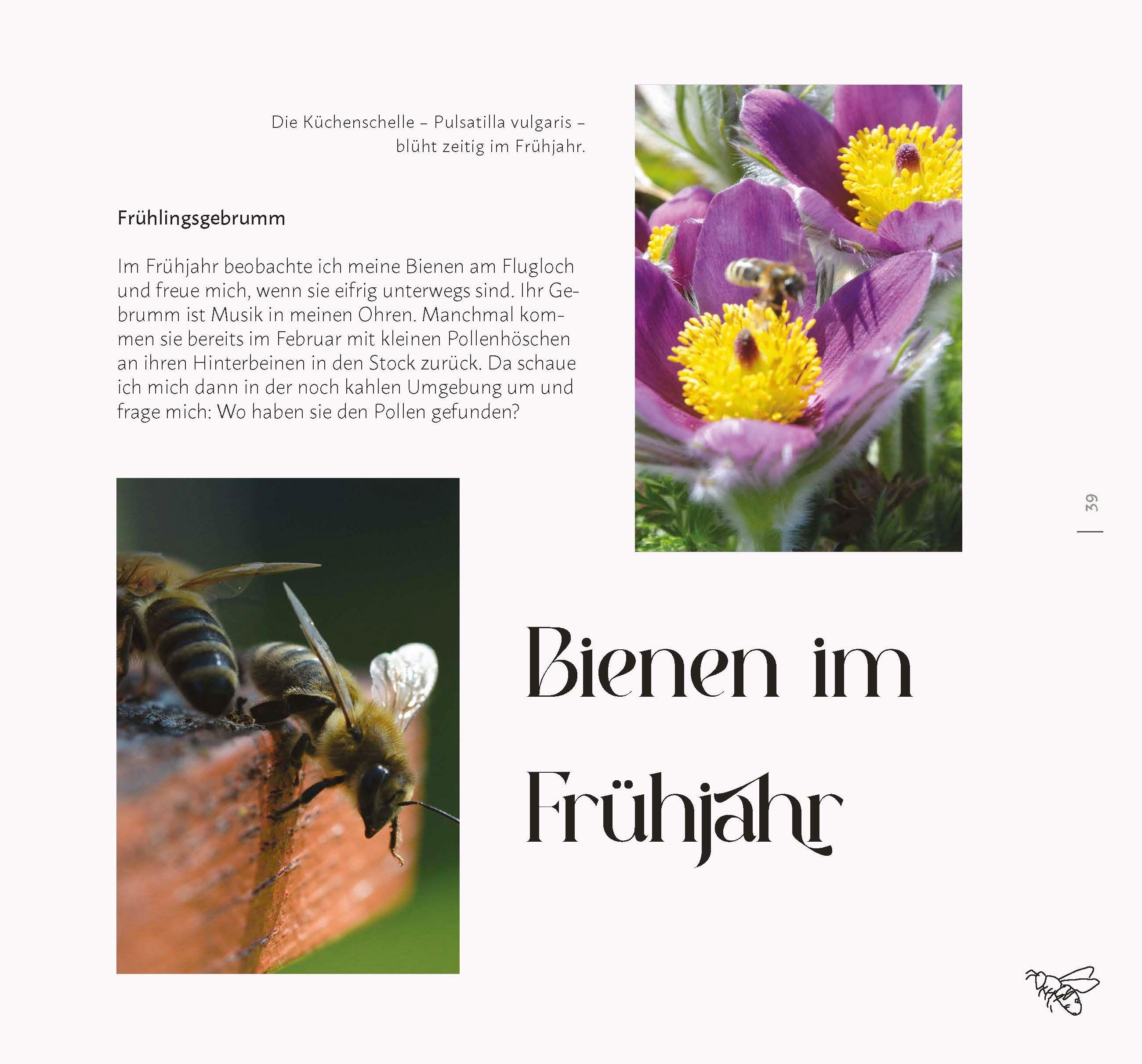 Beispielinhalt (Bild) Faszination Wildkräuter