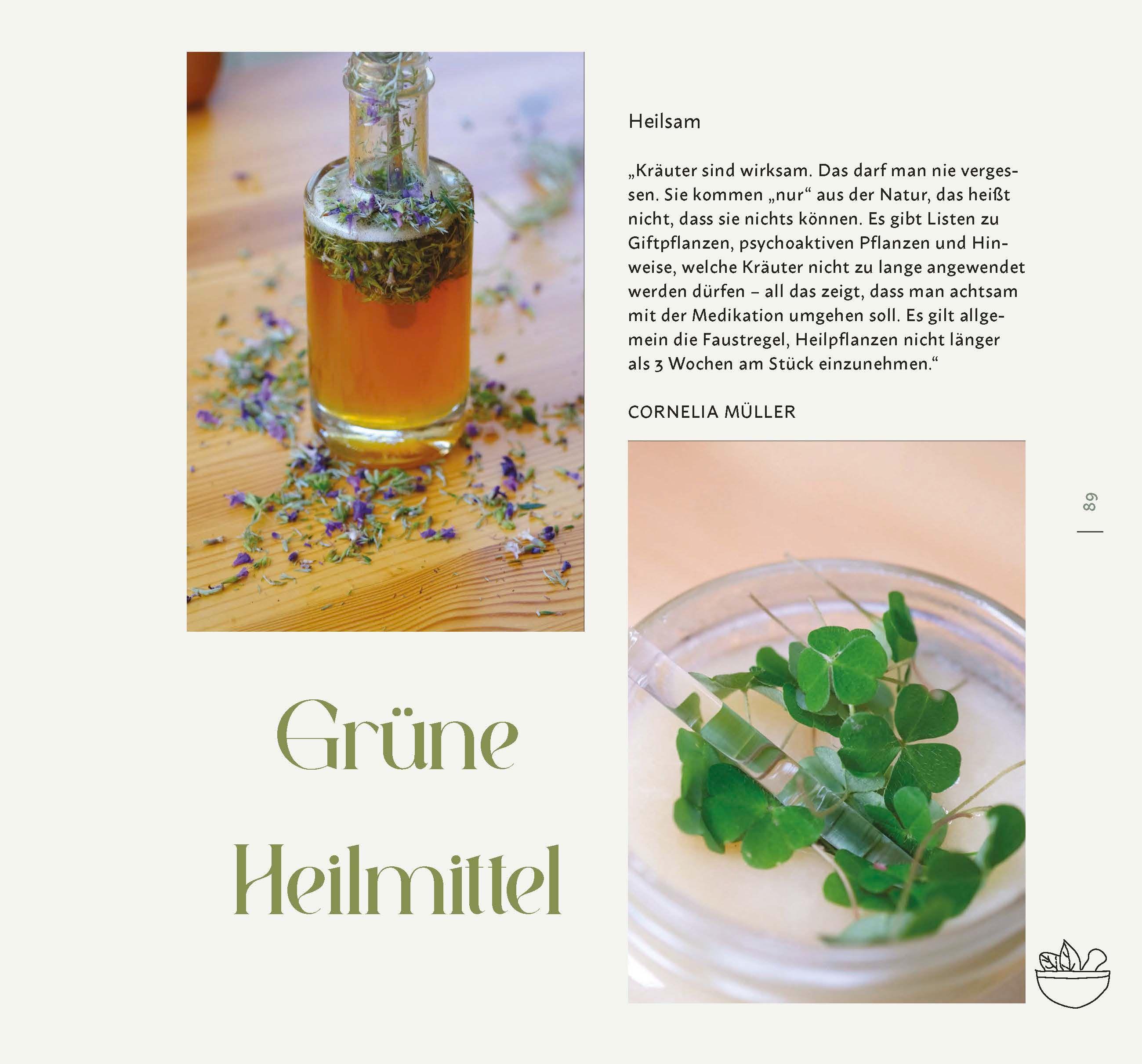 Beispielinhalt (Bild) Faszination Wildkräuter