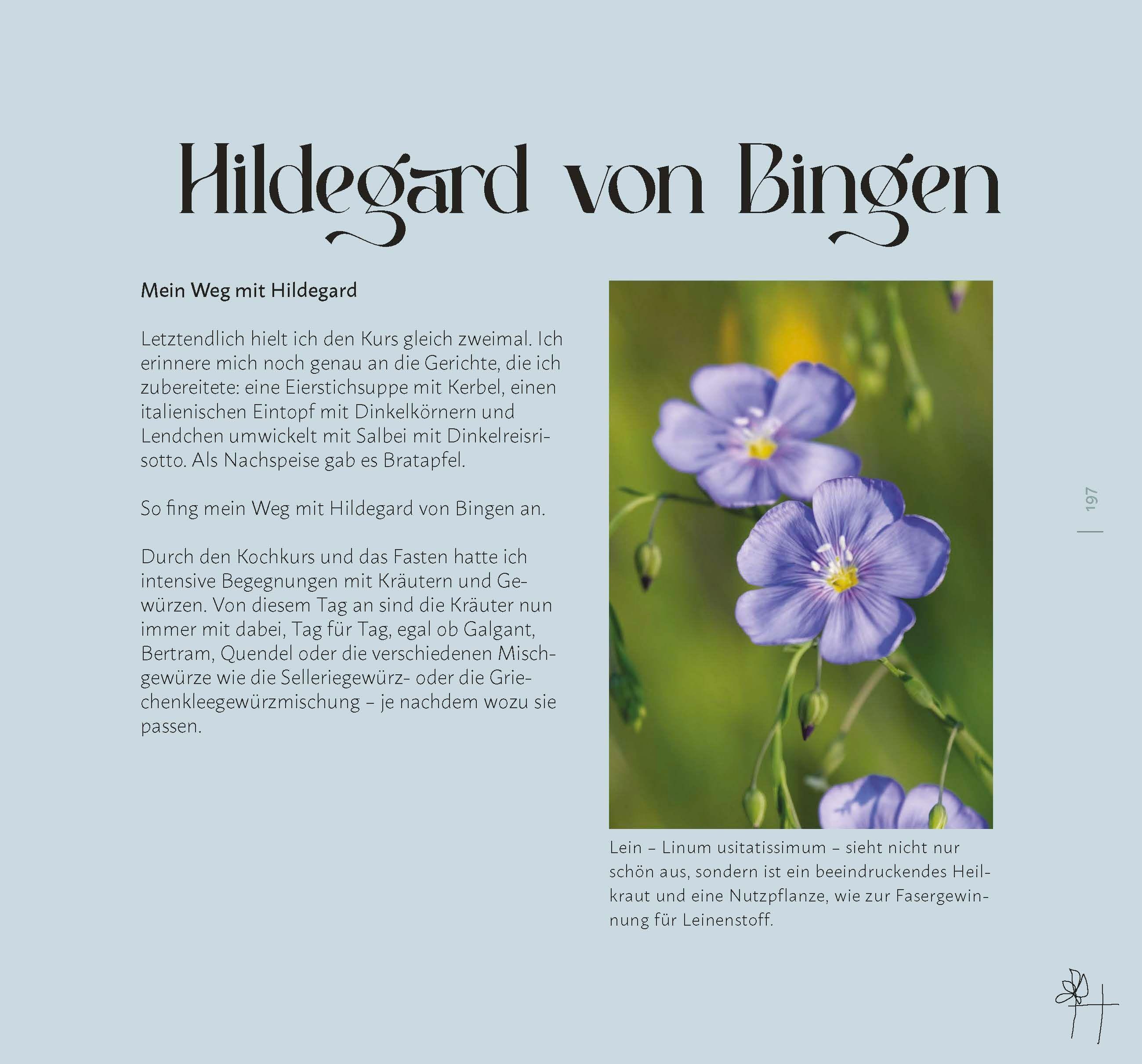 Beispielinhalt (Bild) Faszination Wildkräuter