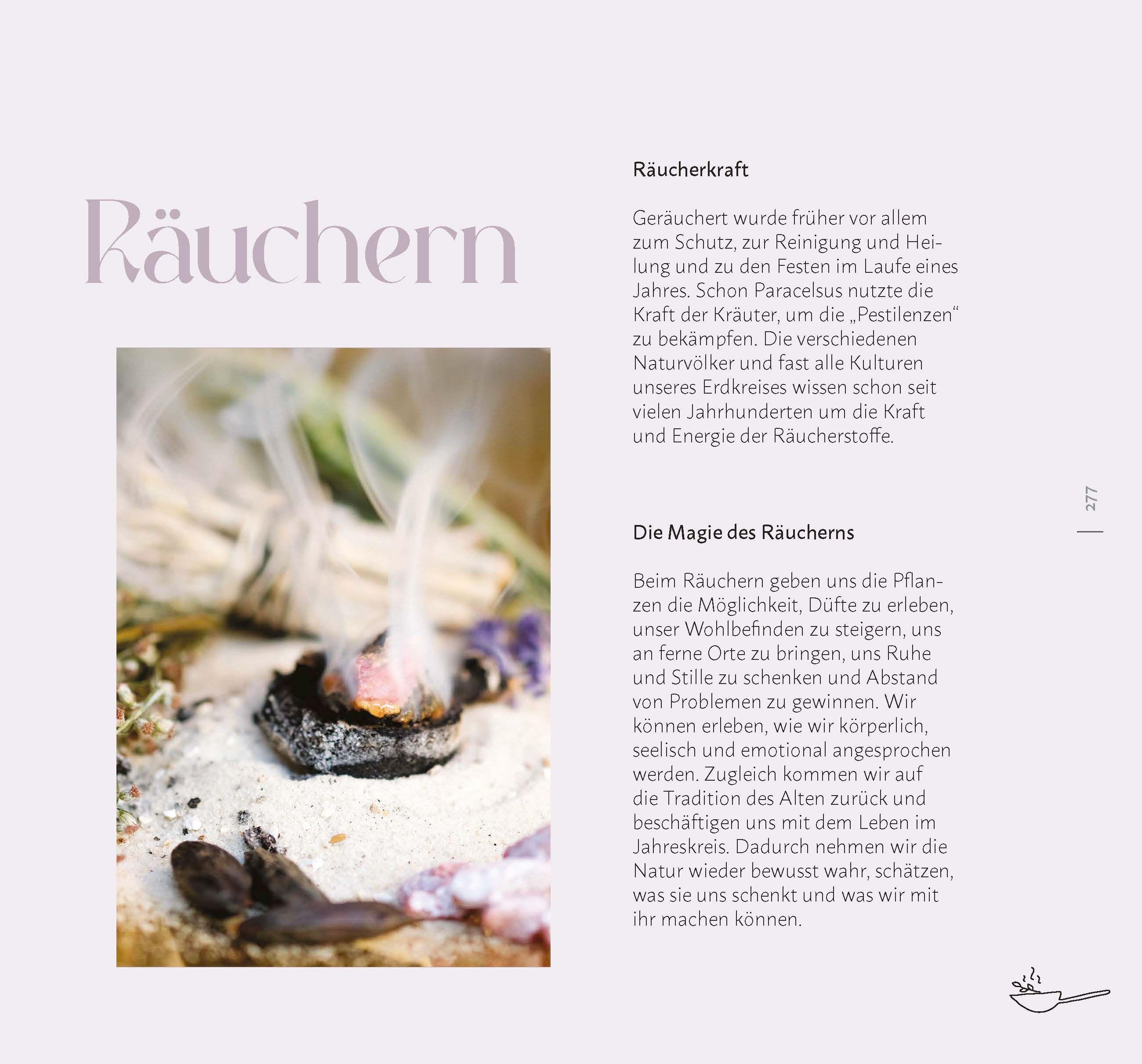 Beispielinhalt (Bild) Faszination Wildkräuter